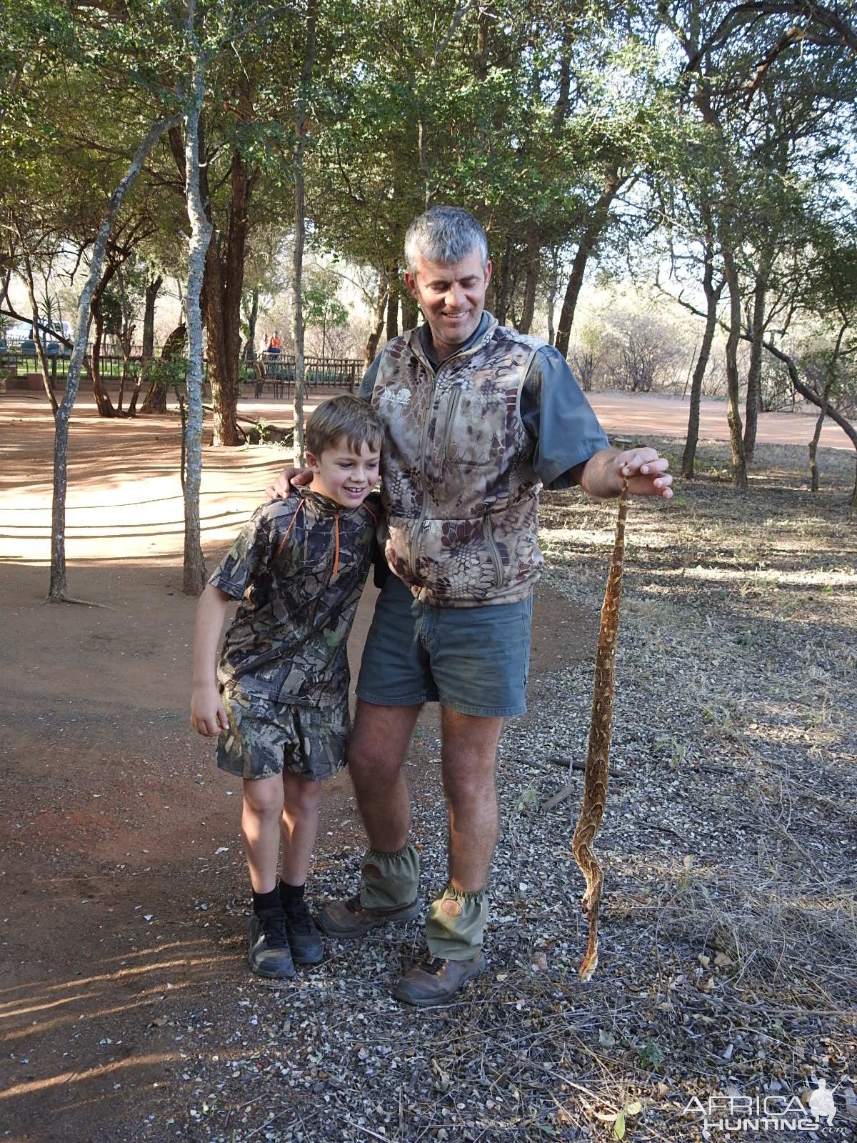 Puff Adder Botswana