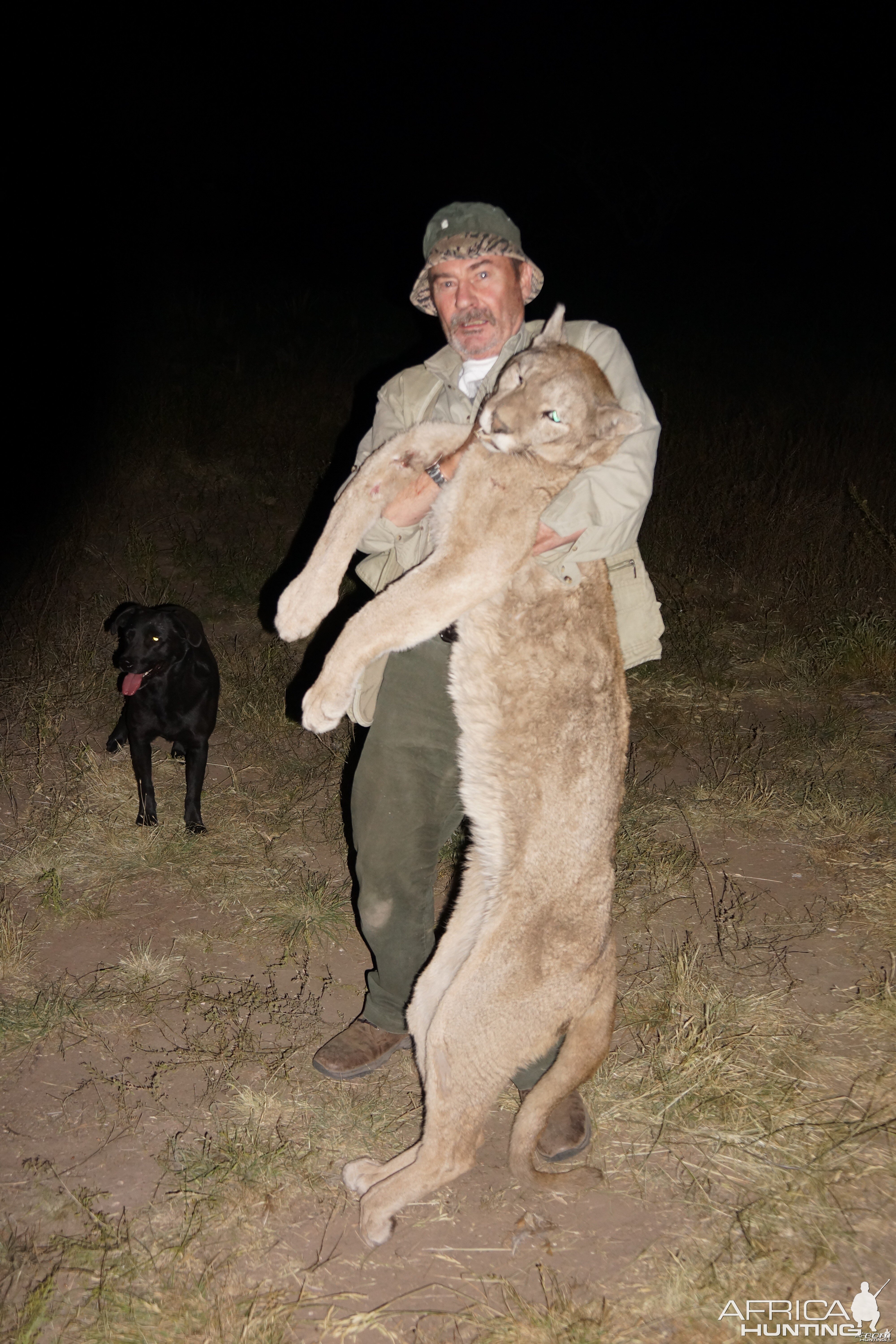 Puma hunted in Argentina 