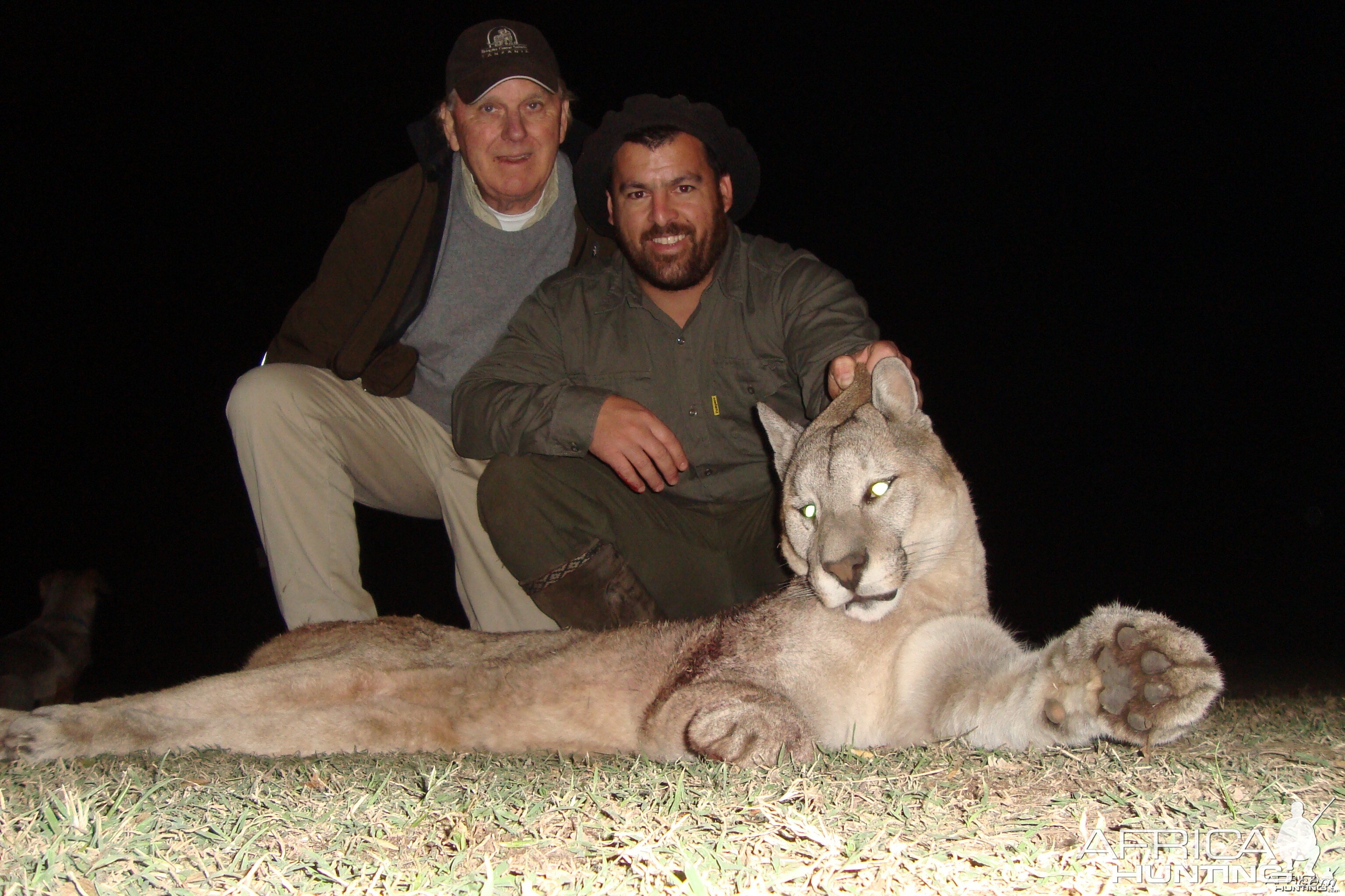 Puma Hunted in Argentina