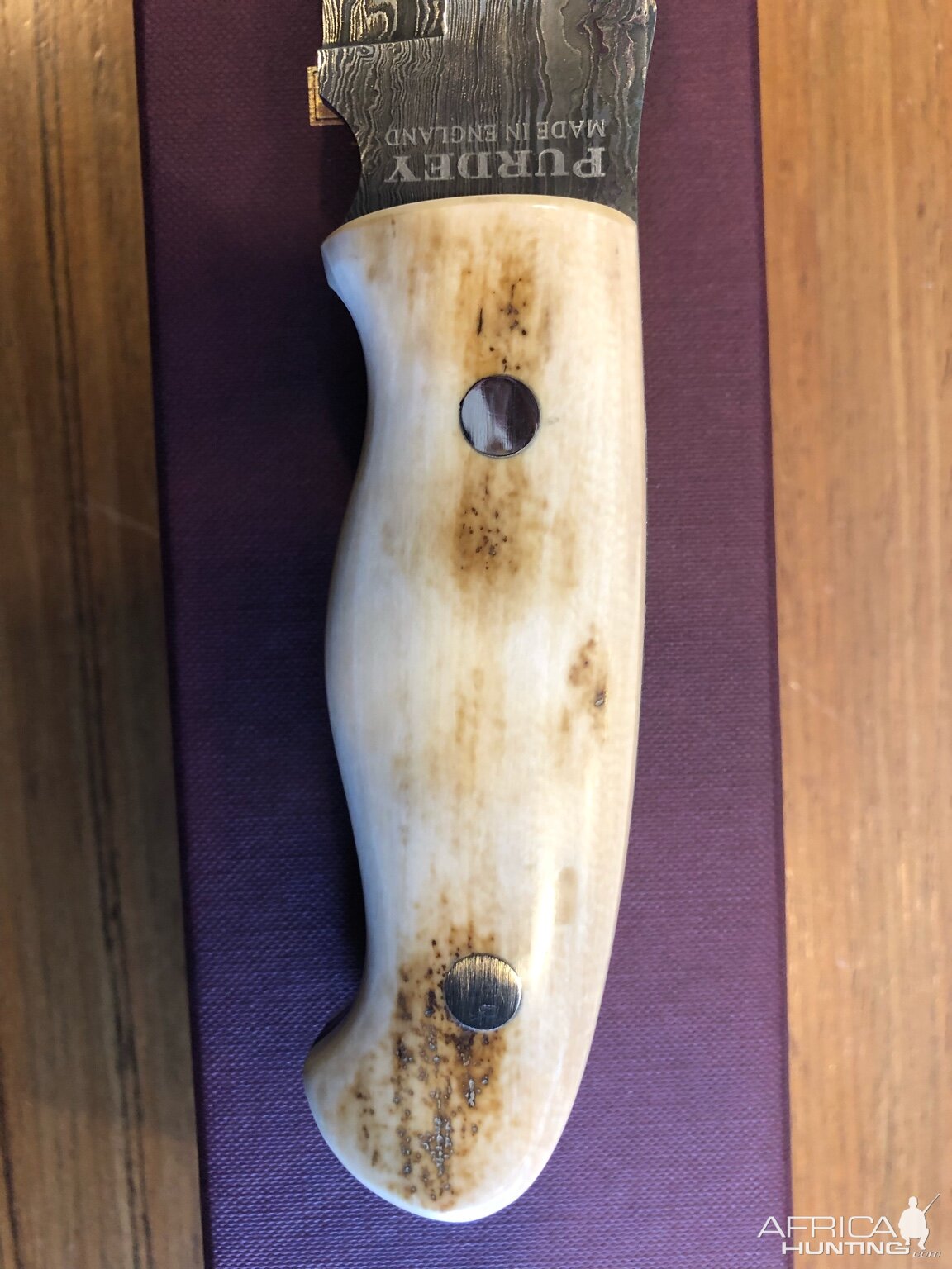 Purdey Hunting Knife with Mammoth Ivory handle