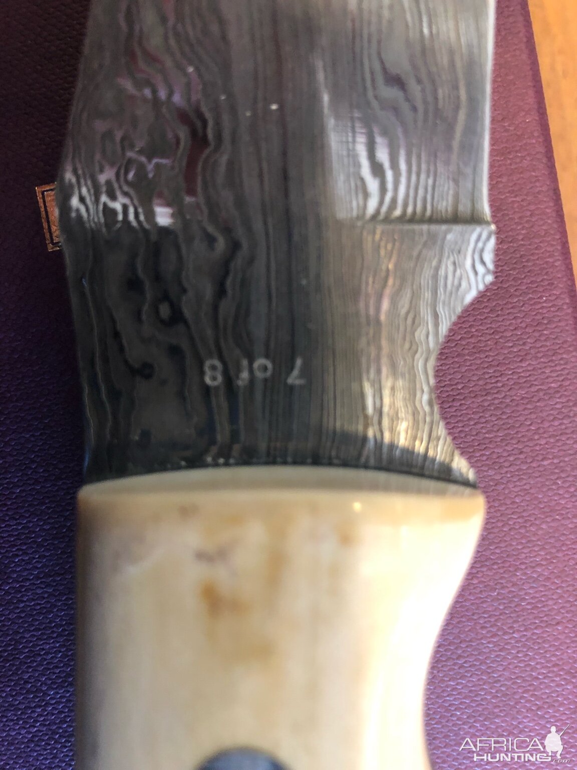 Purdey Hunting Knife with Mammoth Ivory handle