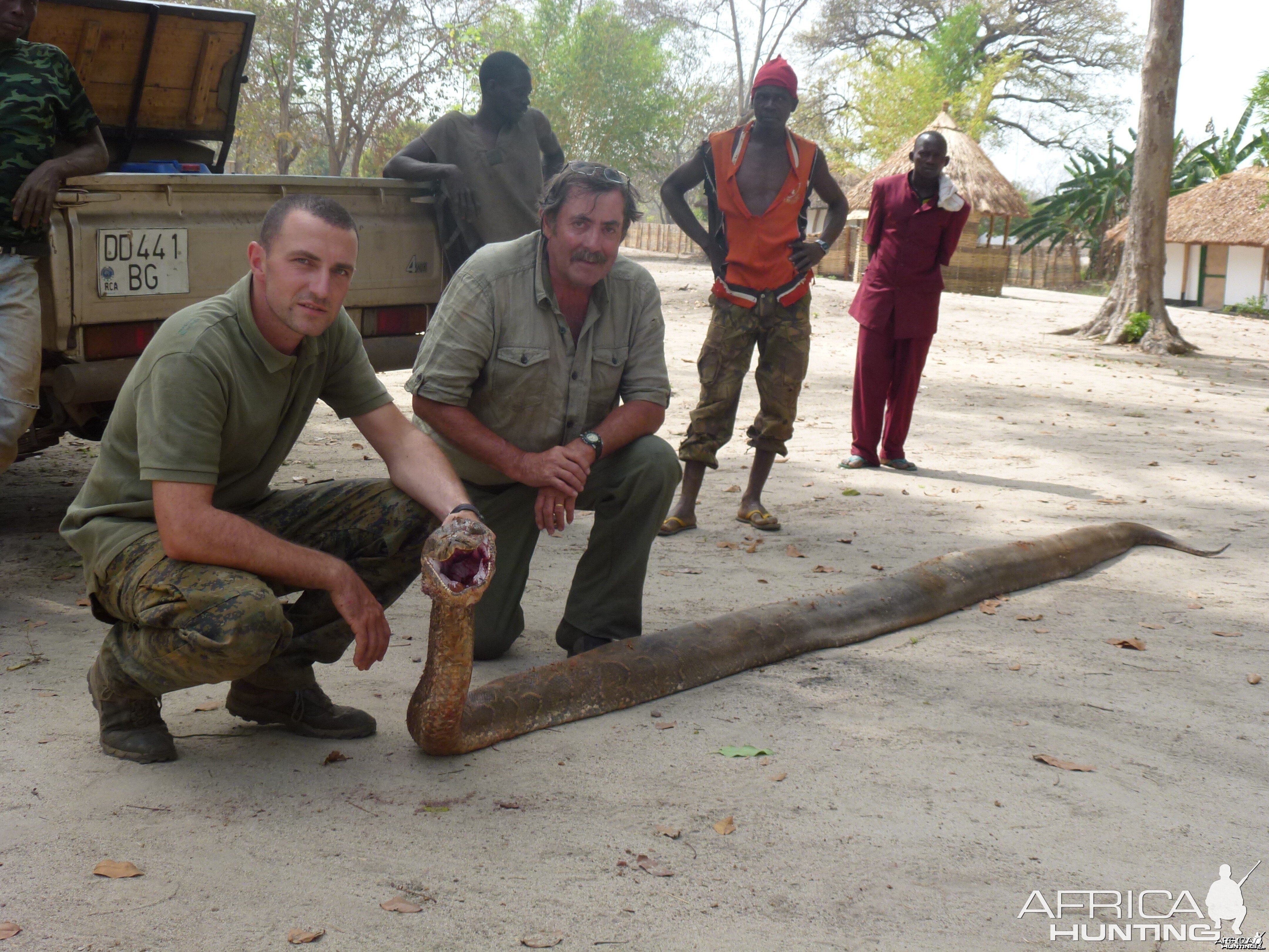 Python hunted in Central Africa with Club Faune