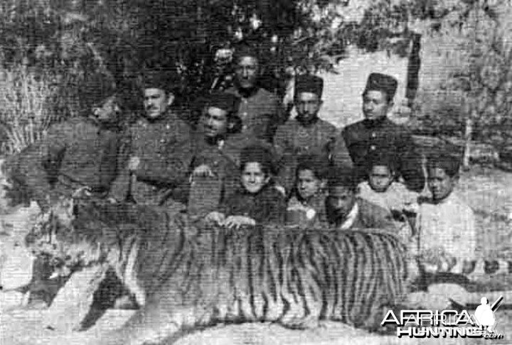 Qajar Mazandaran Tiger Hunt