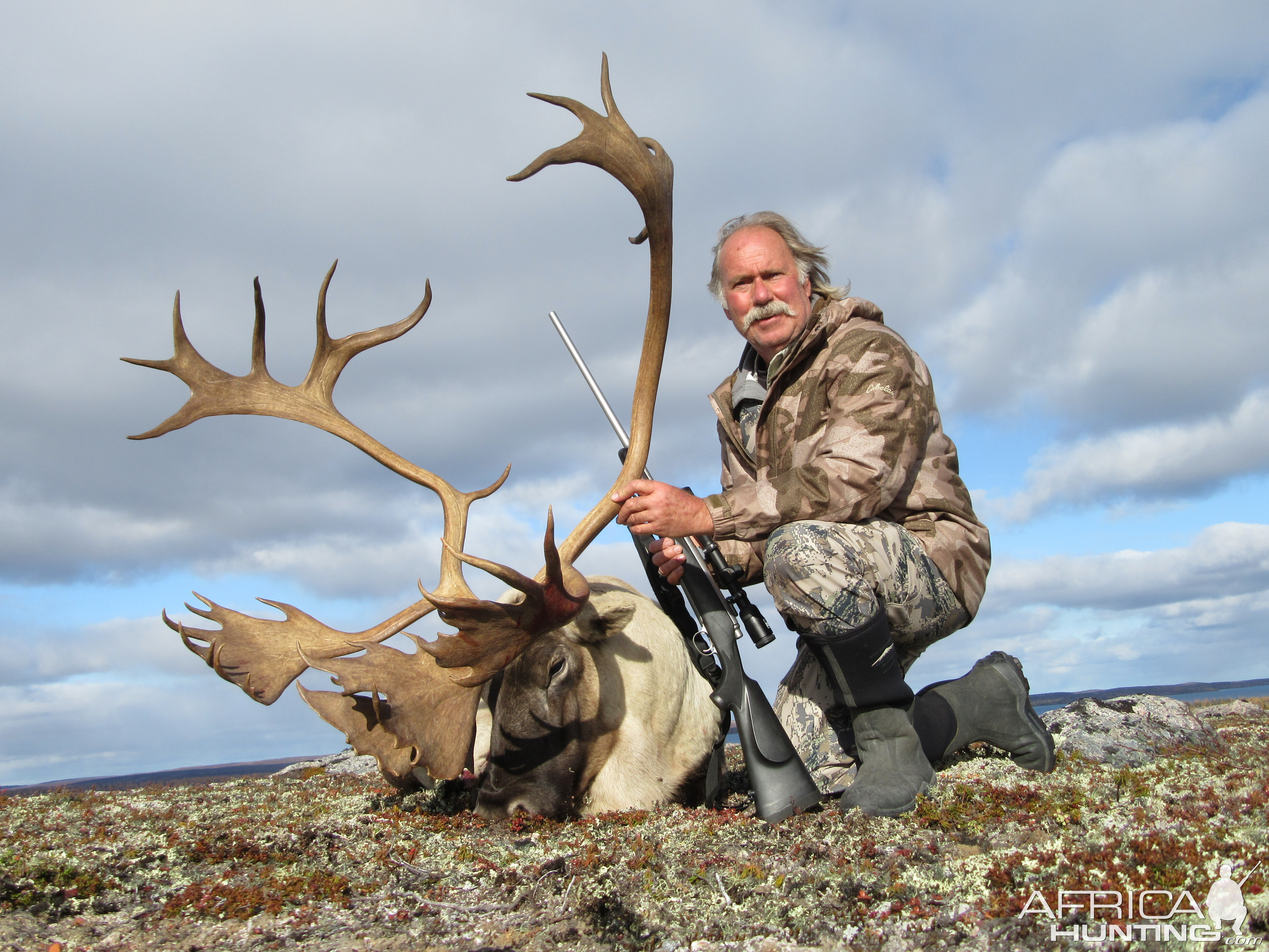 Quebec-Labrador Caribou