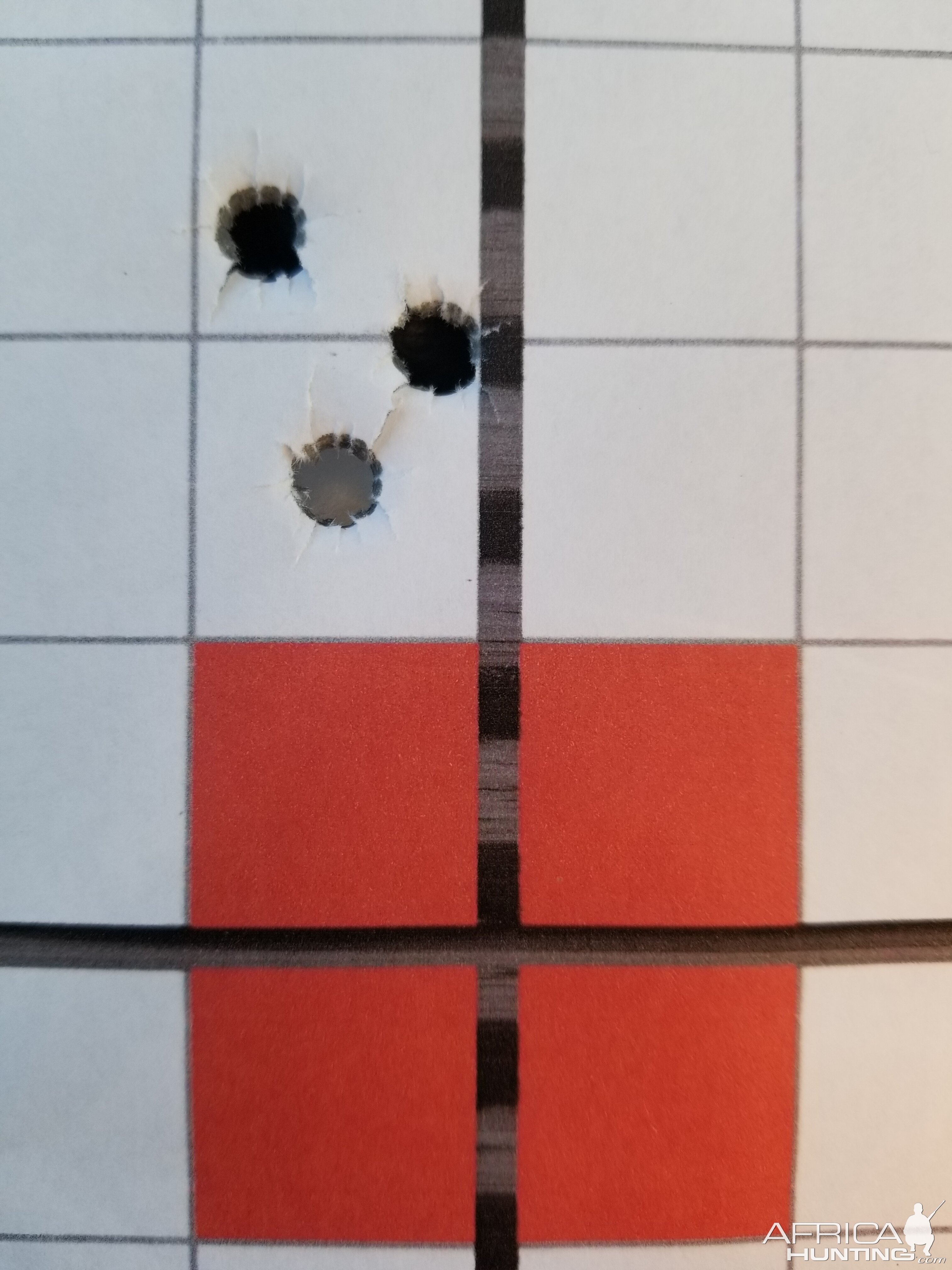 Range Shooting 70.5gr H4831 A-Frame