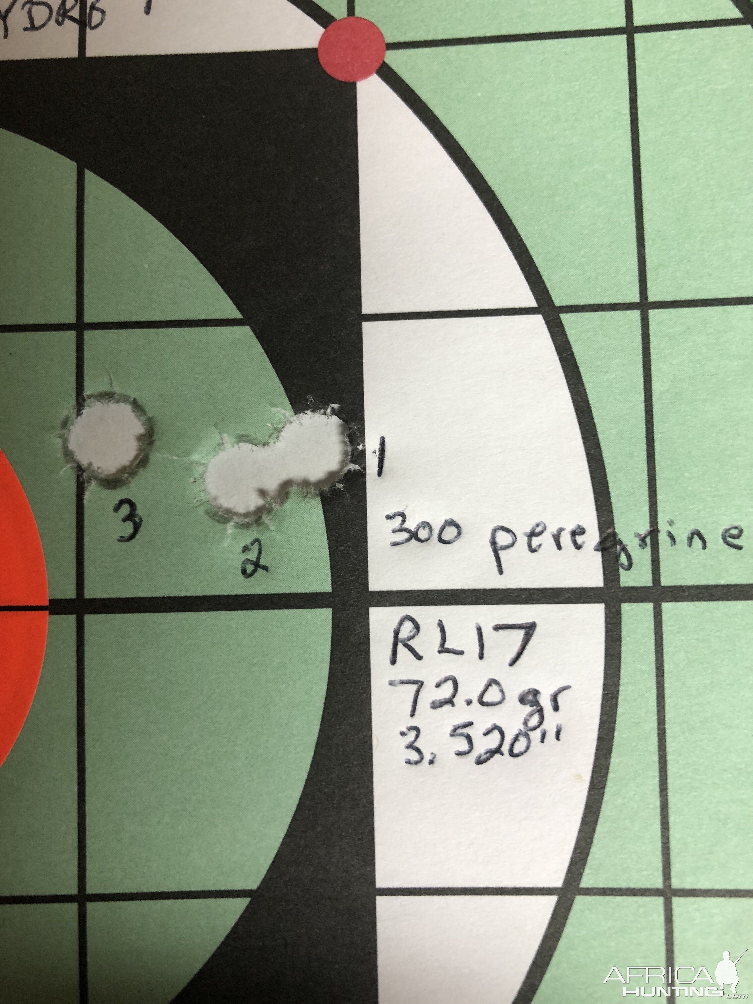 Range Shooting with 300 gr Peregrine and 72.0 RL17
