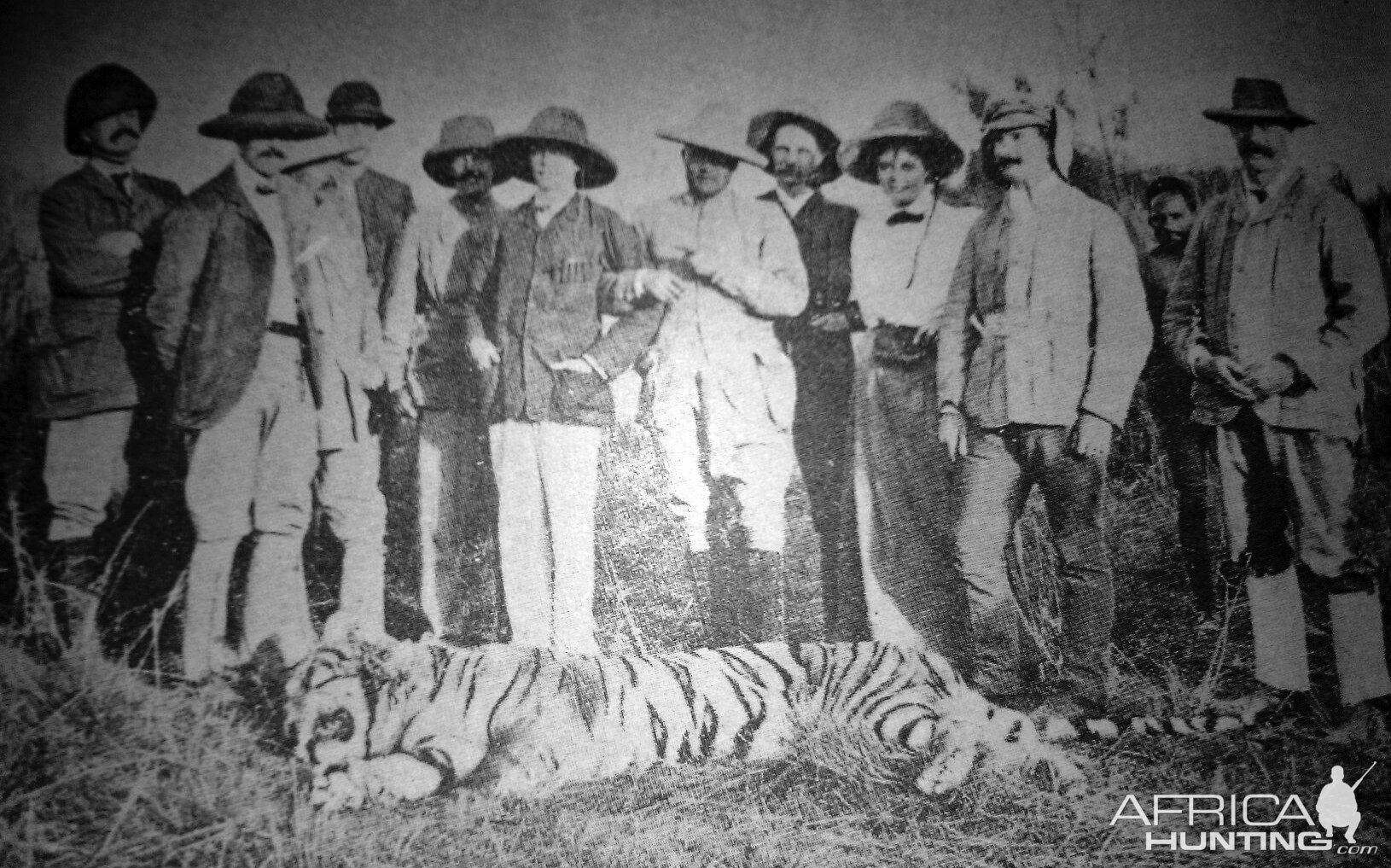 Rare Tiger hunting photographs from 1895 to 1907