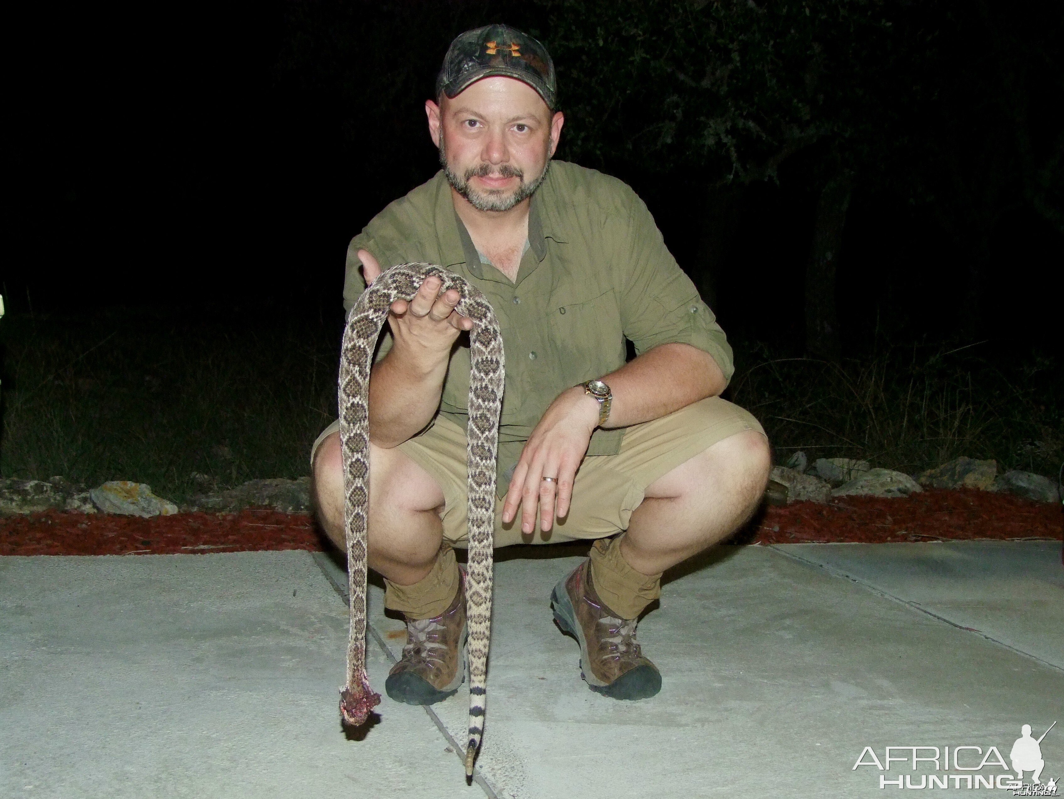 Rattle Snake 2010 Texas