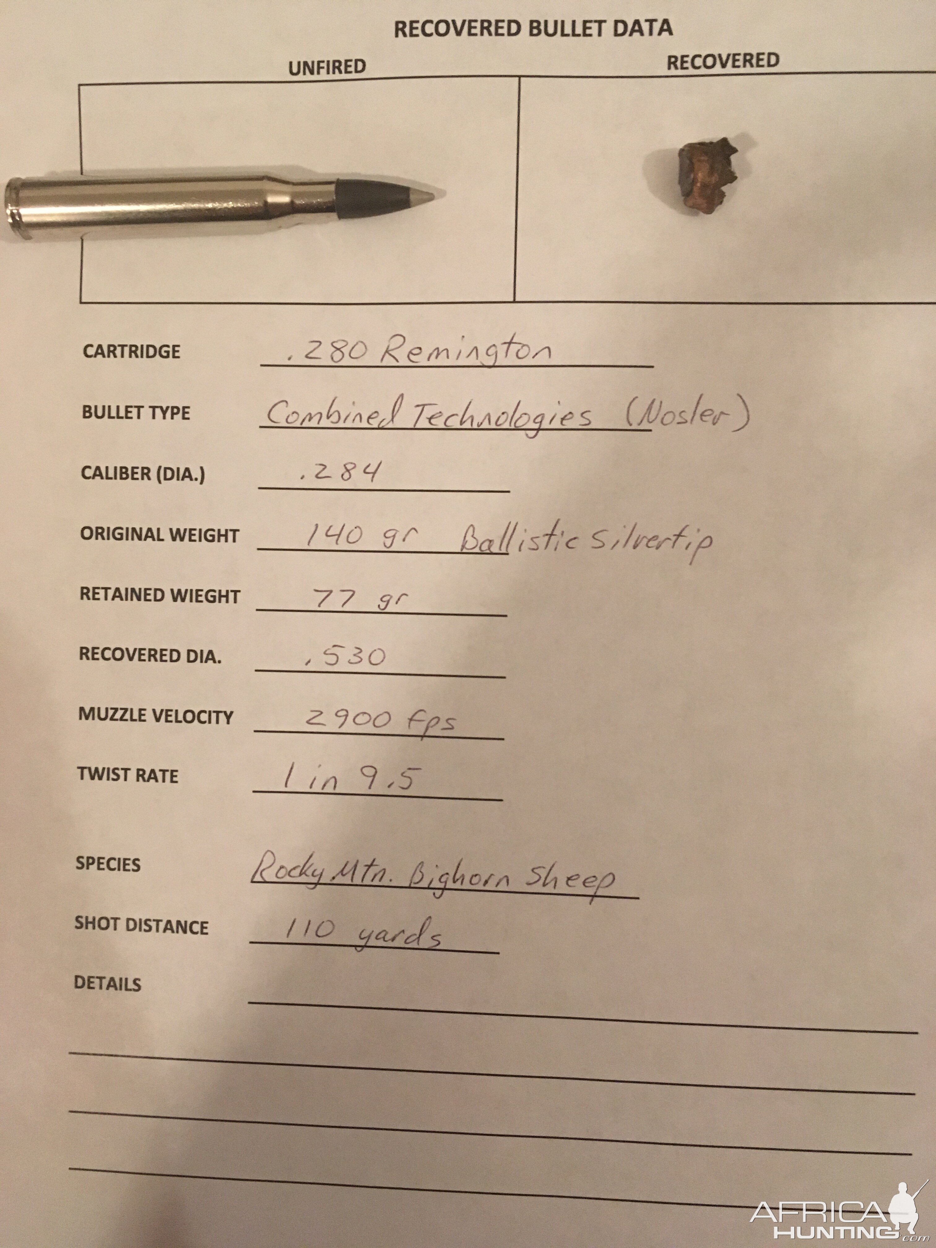 Recovered Bullet Data for Rocky Mountain Bighorn Sheep