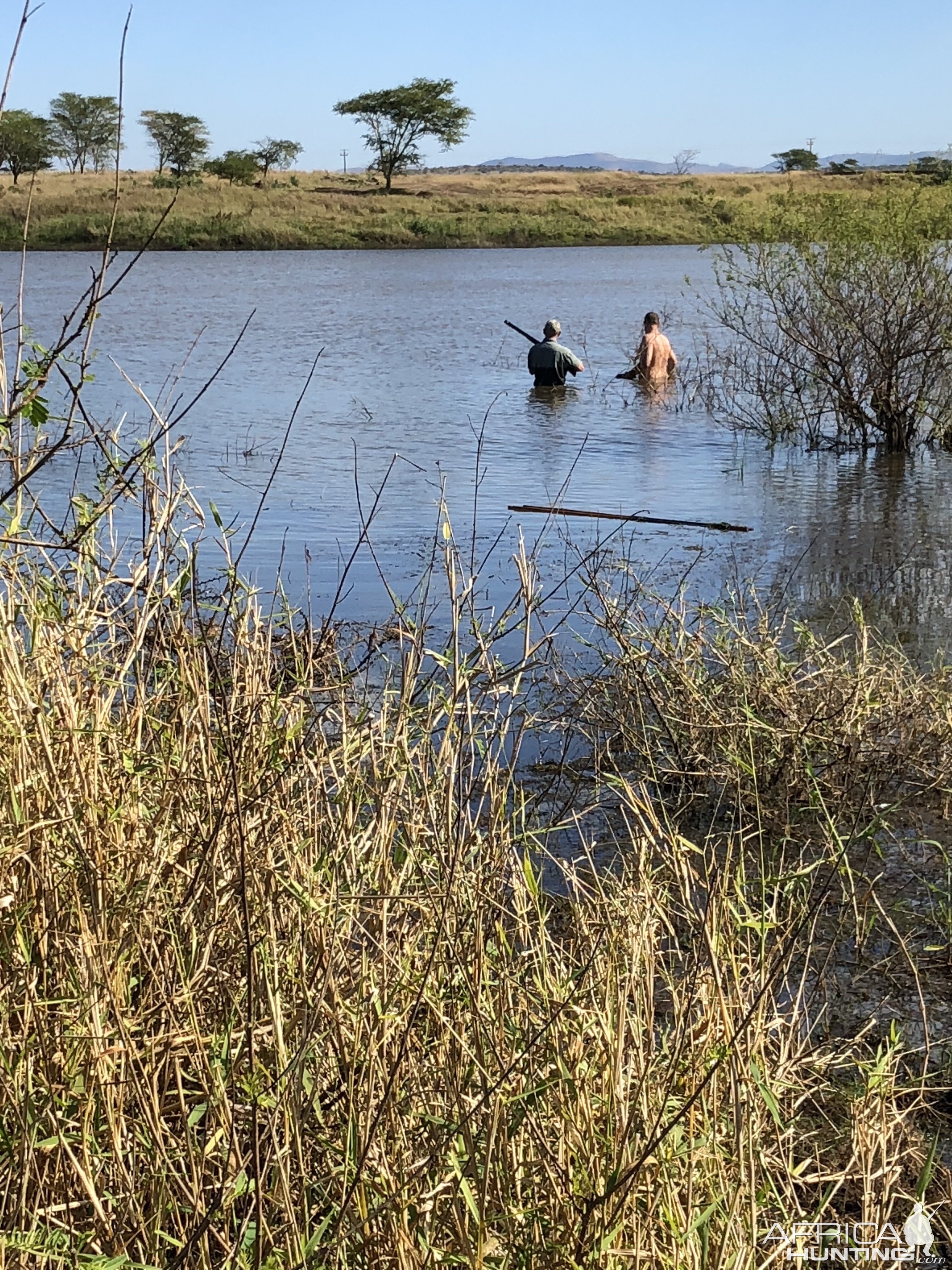 Recovering Hippo