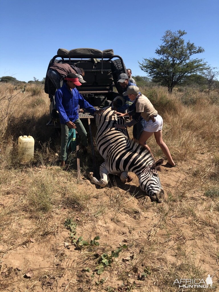 Recovering Kudu Trophy