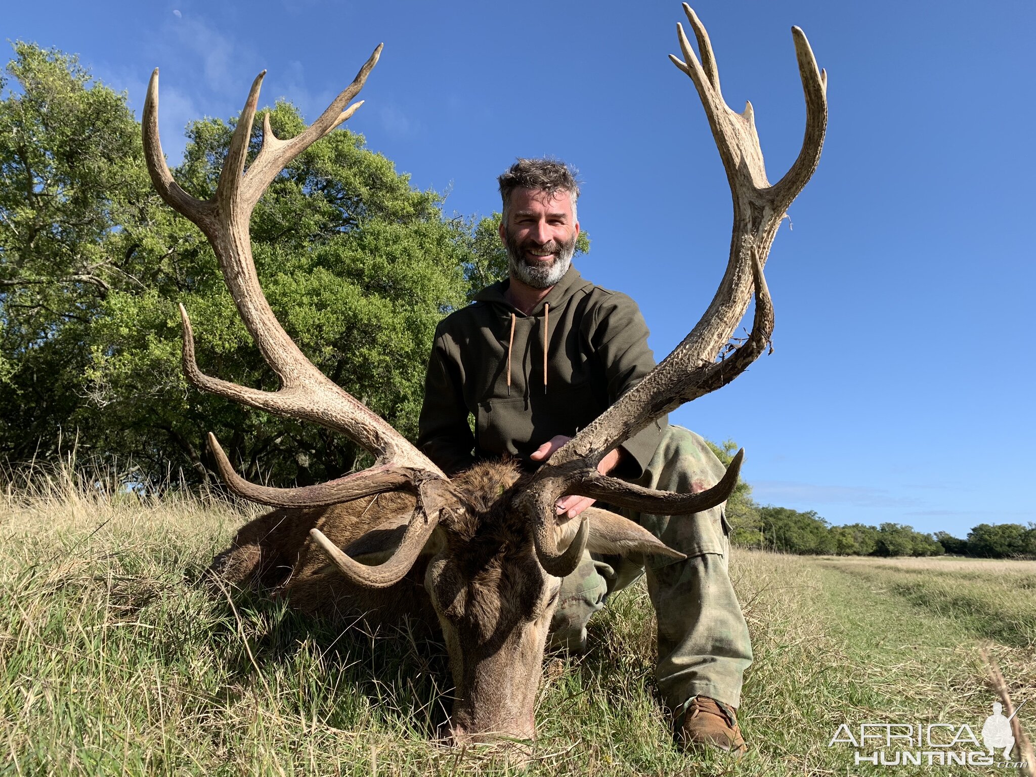 Red Deer Hunt Argentina