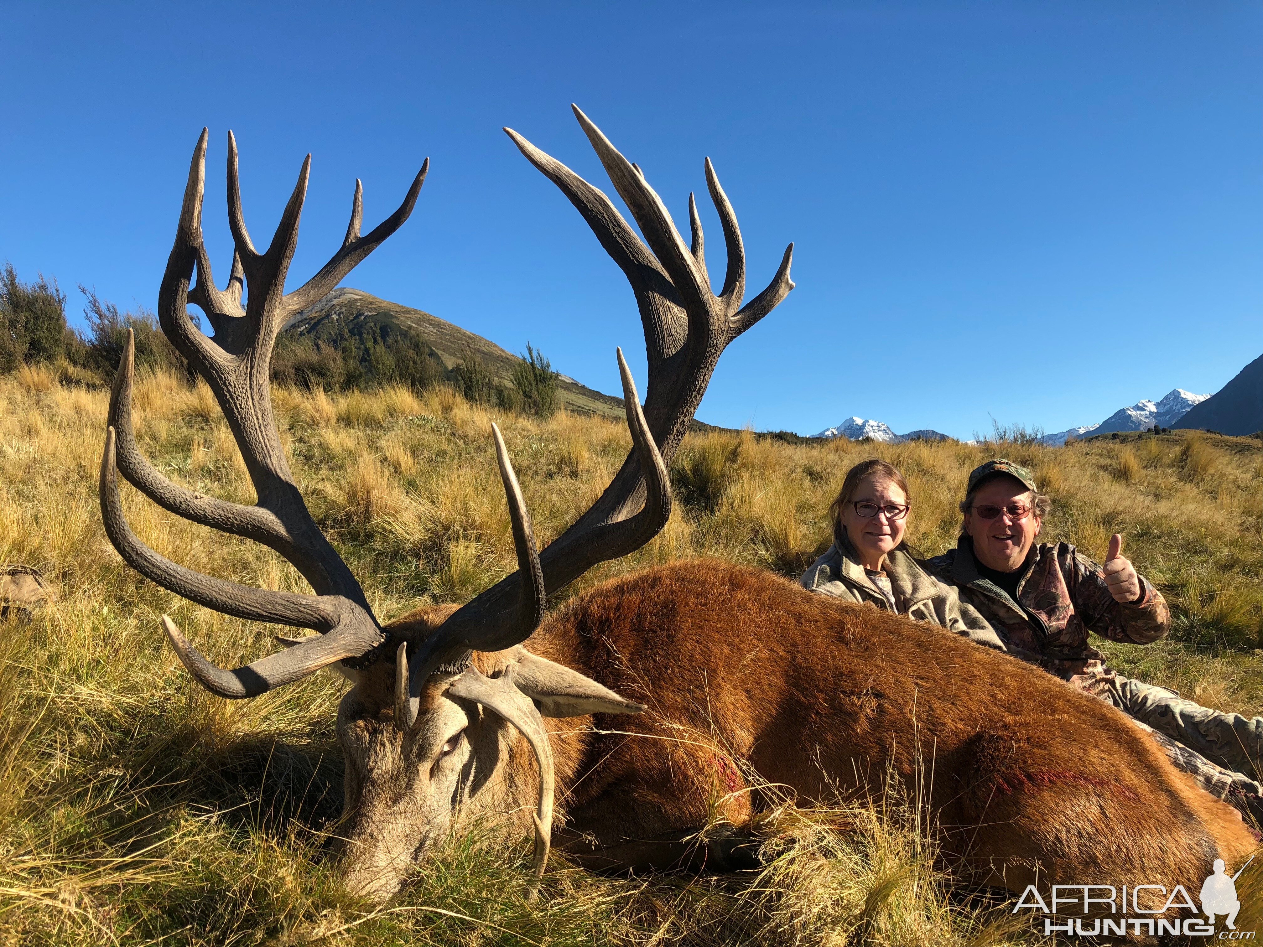 Red Deer Hunt New Zealand