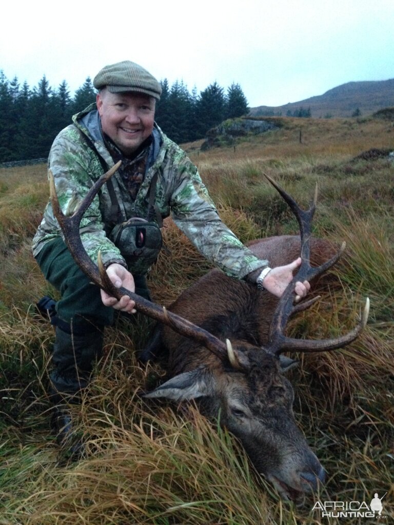 Red Deer Hunting Scottland