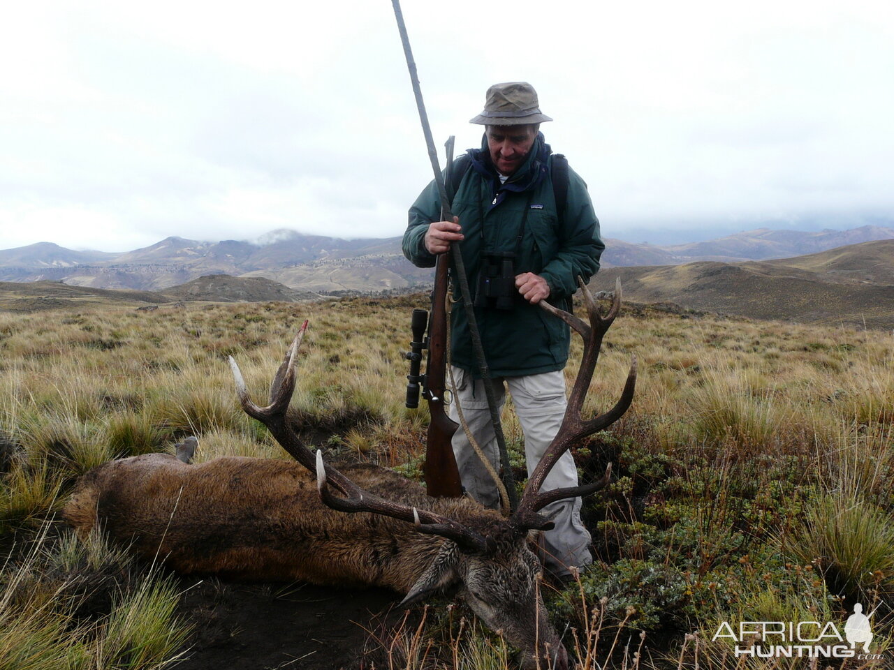 Red Deer Hunting