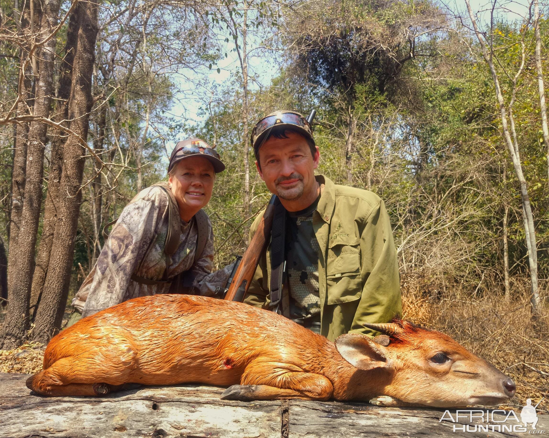 Red Duiker Hunting Mozambique