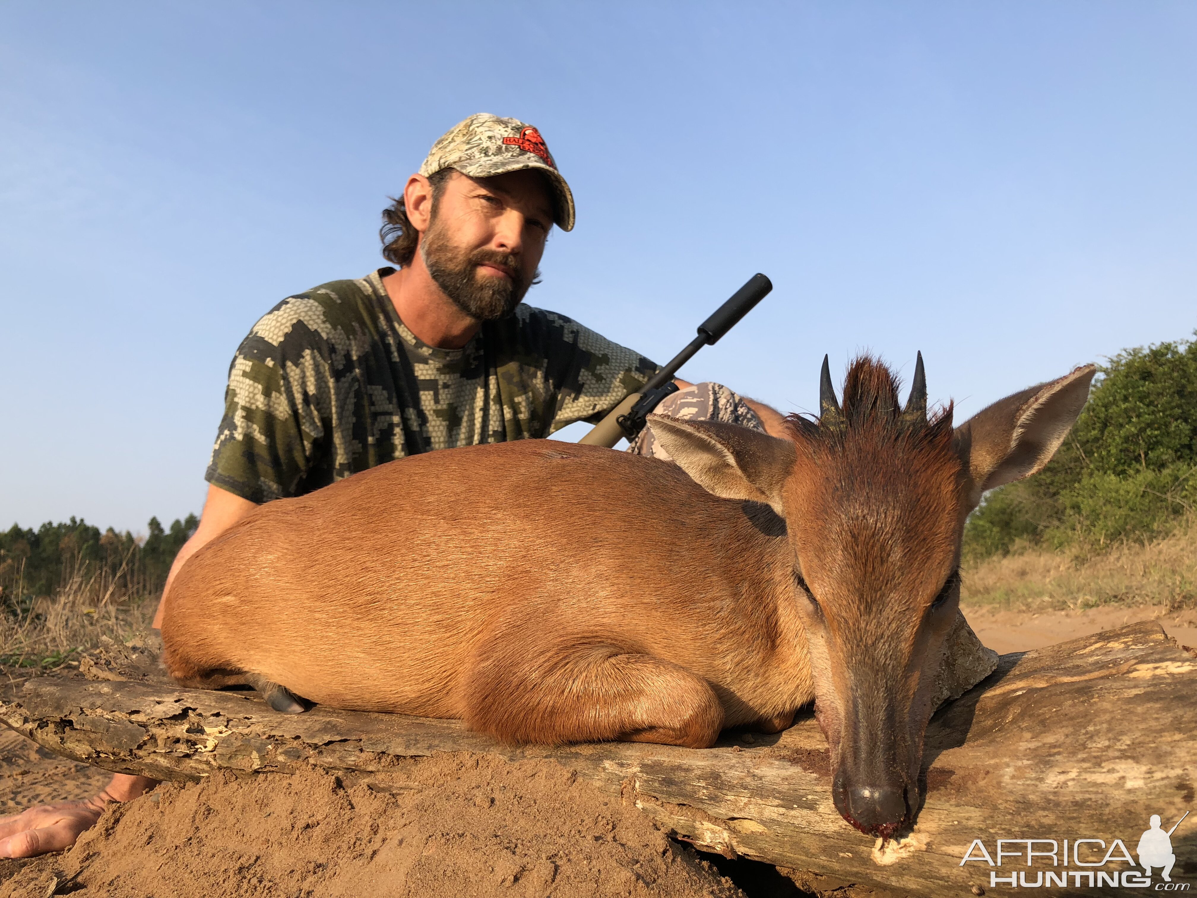Red Duiker Hunting South Africa
