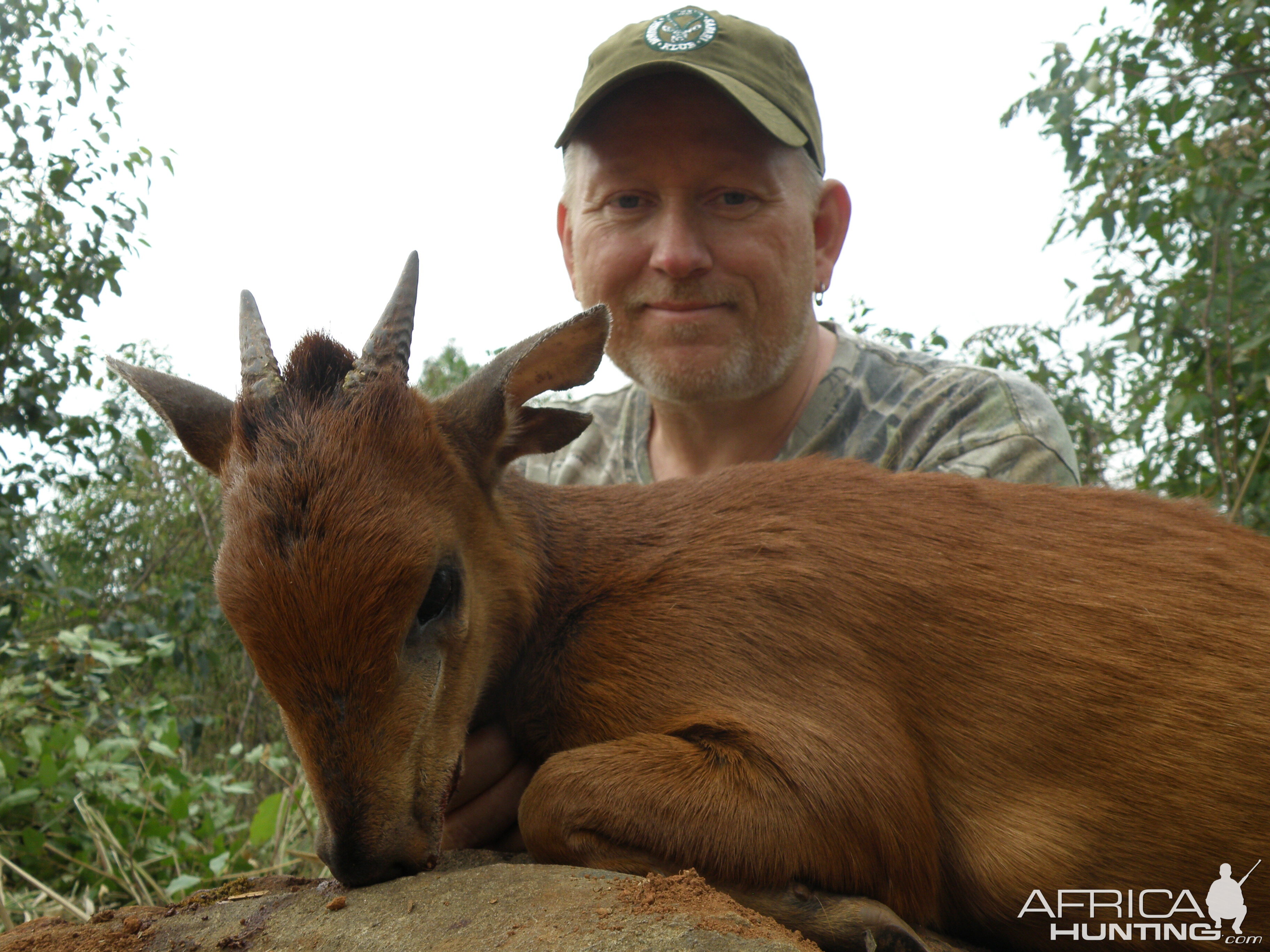 Red Duiker Mananga safaris