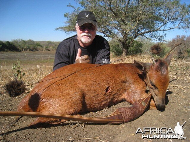 Red Duiker with my Longbow