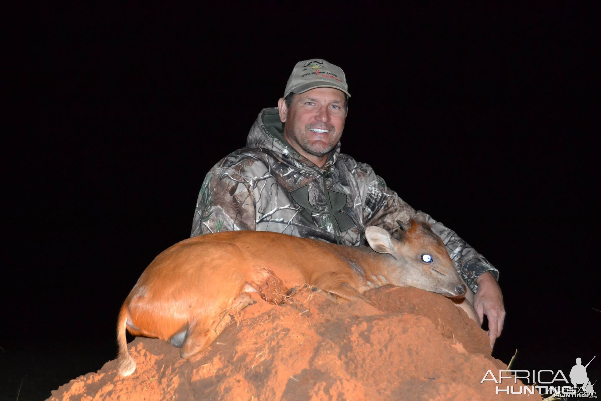 Red Duiker