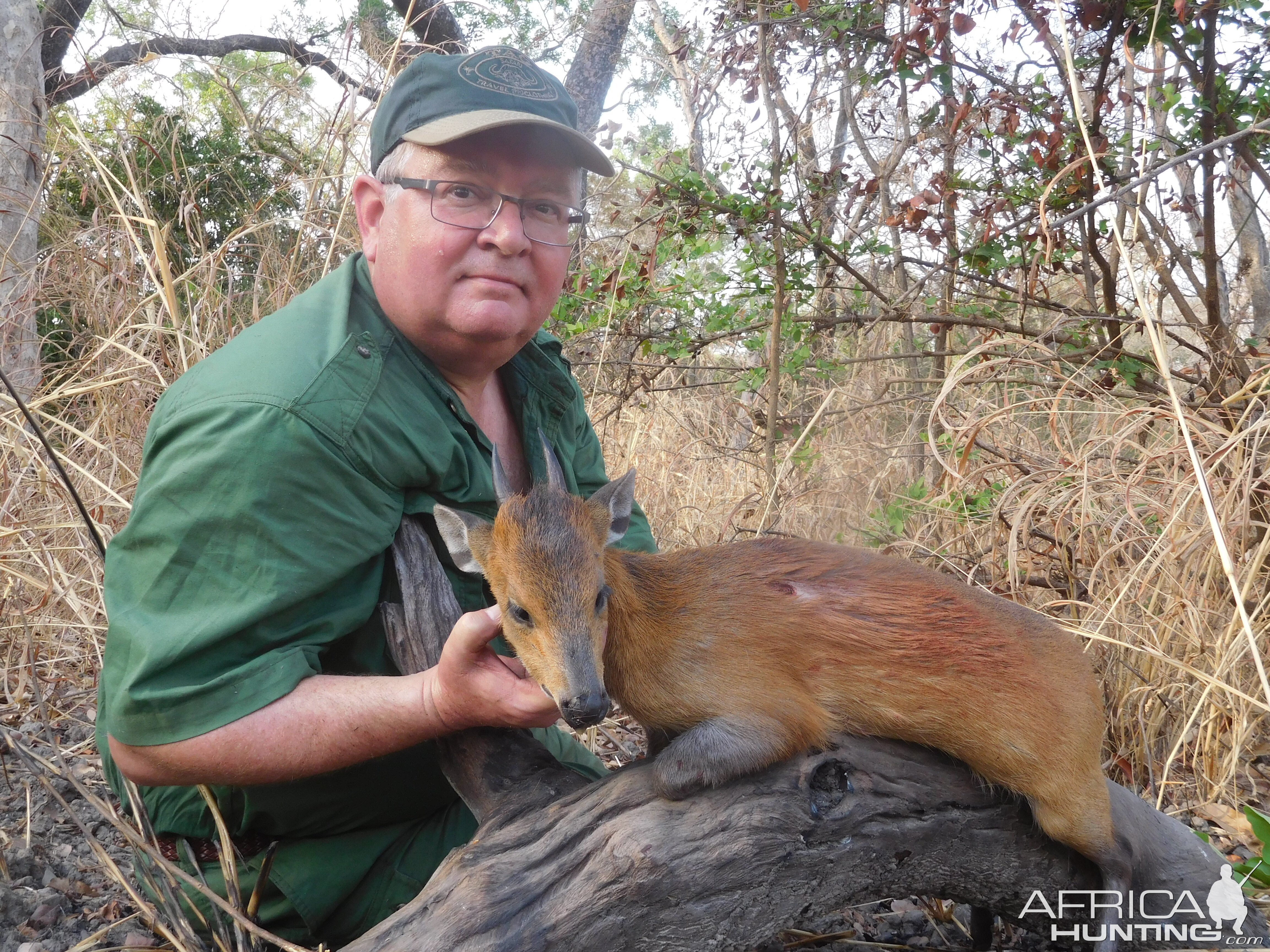 Red-flanked Duiker Hunt Cameroon