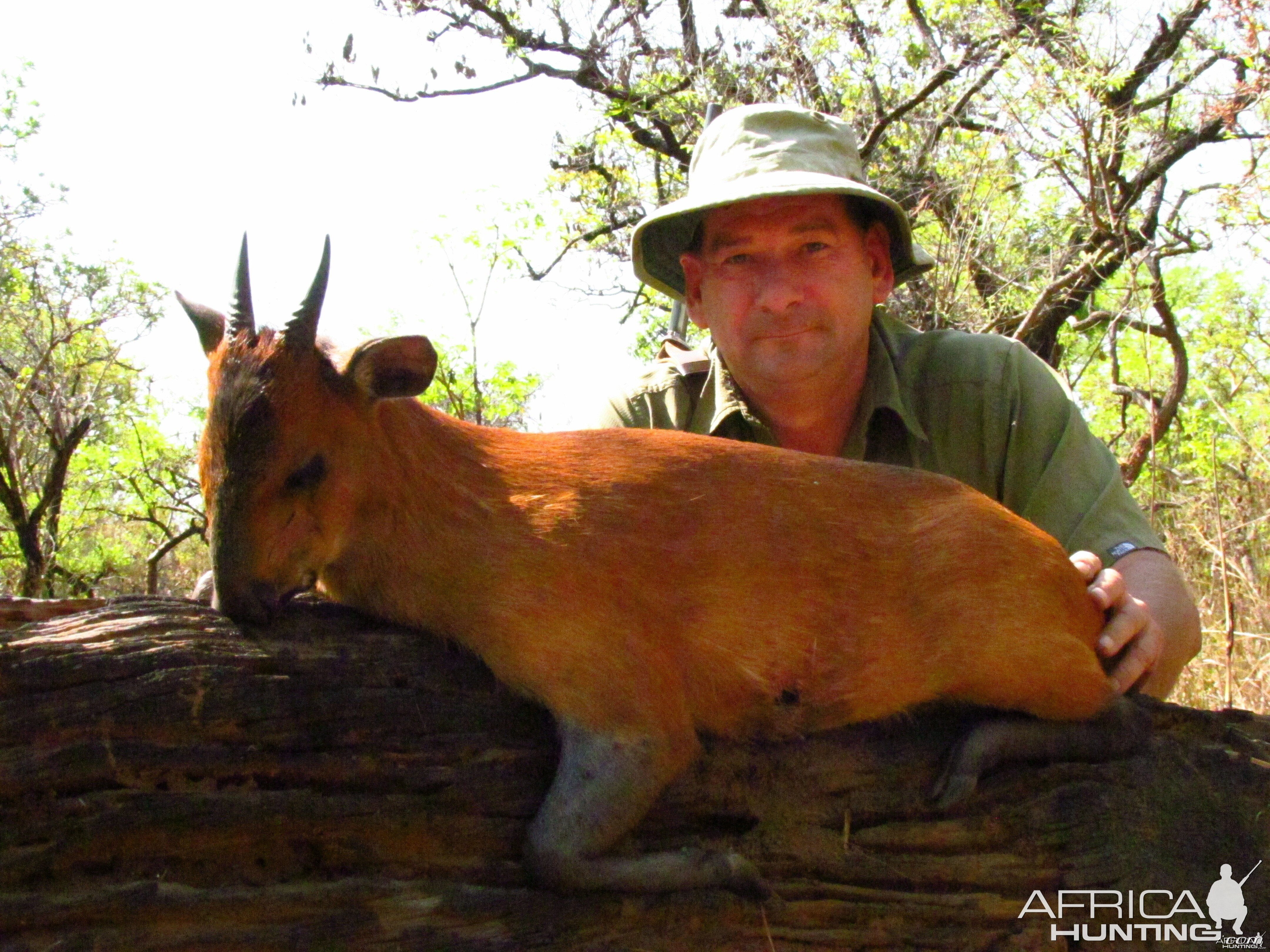 Red Flanked Duiker hunt with CAWA in CAR