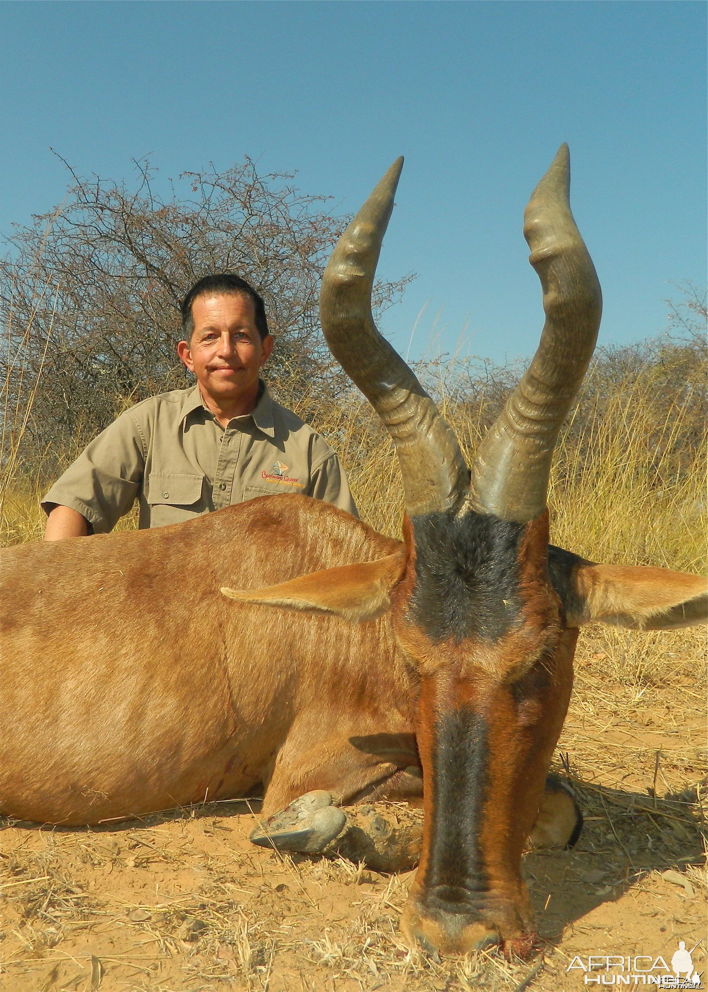 Red Hartebeest 2014