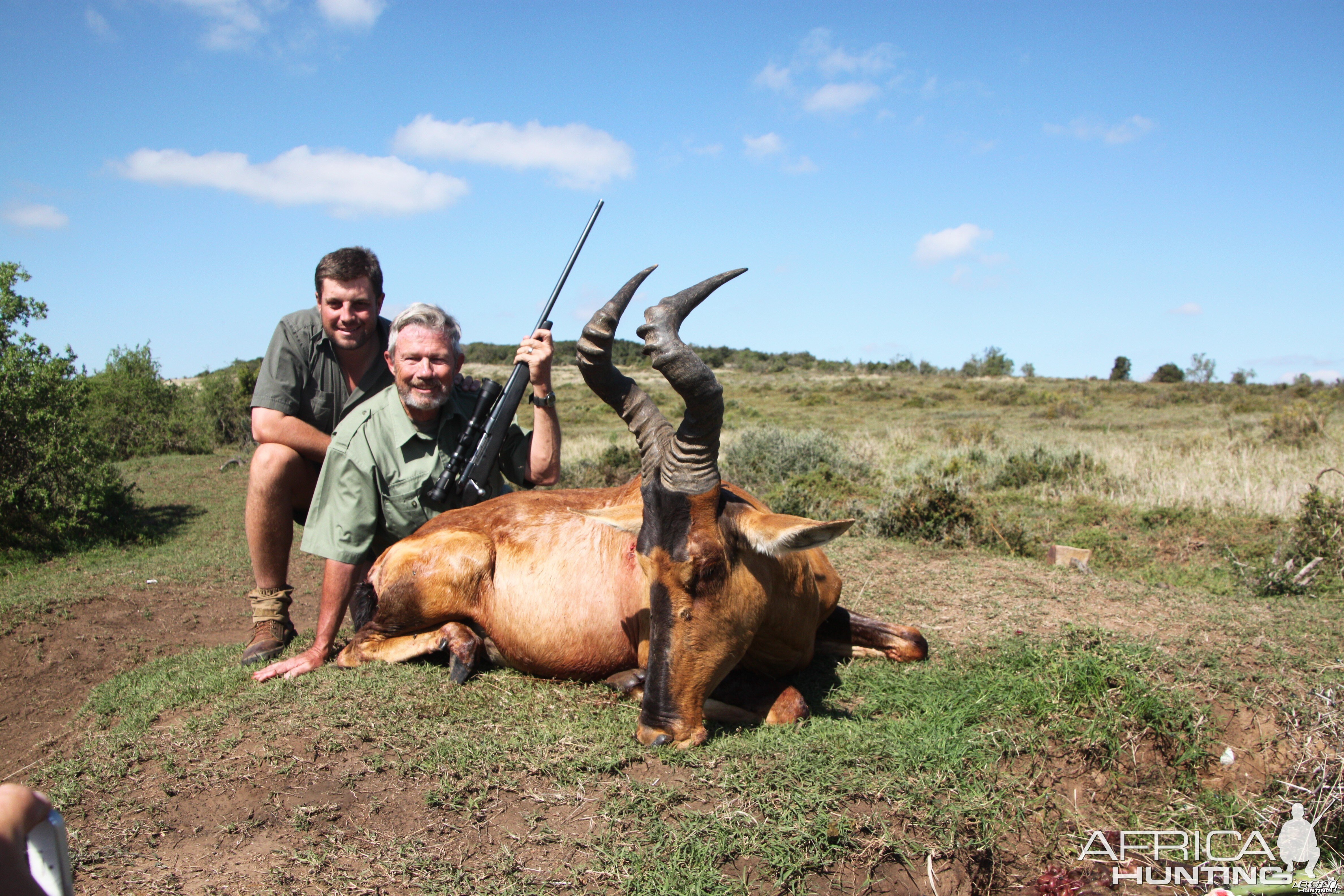 Red  Hartebeest  2014