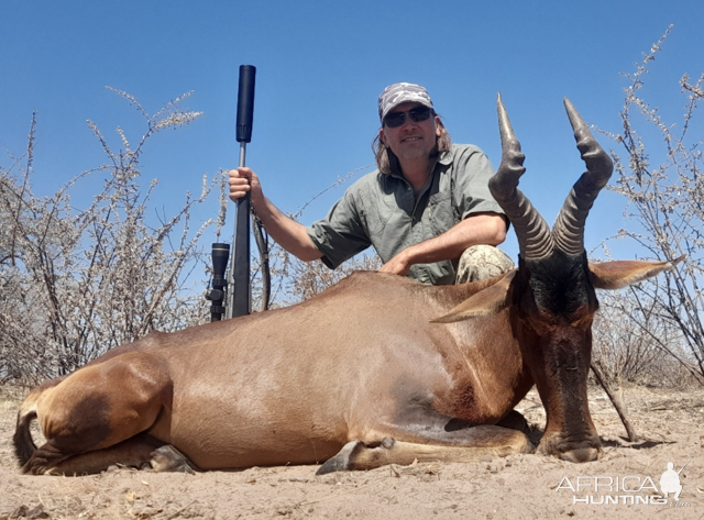 Red Hartebeest Hunt Botswana