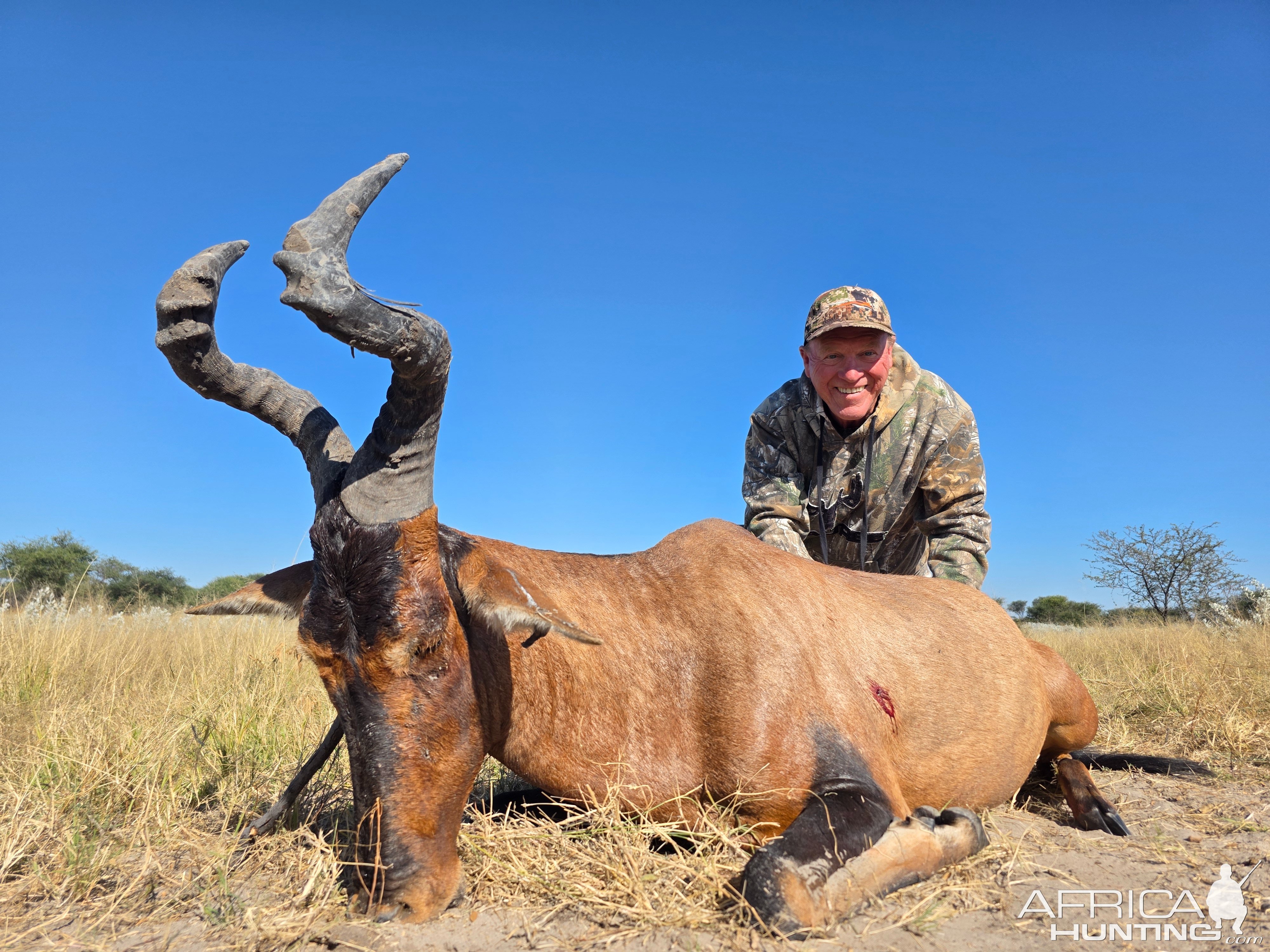 Red Hartebeest Hunt Botswana