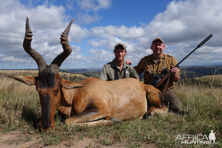 Red Hartebeest Hunt Eastern Cape South Africa