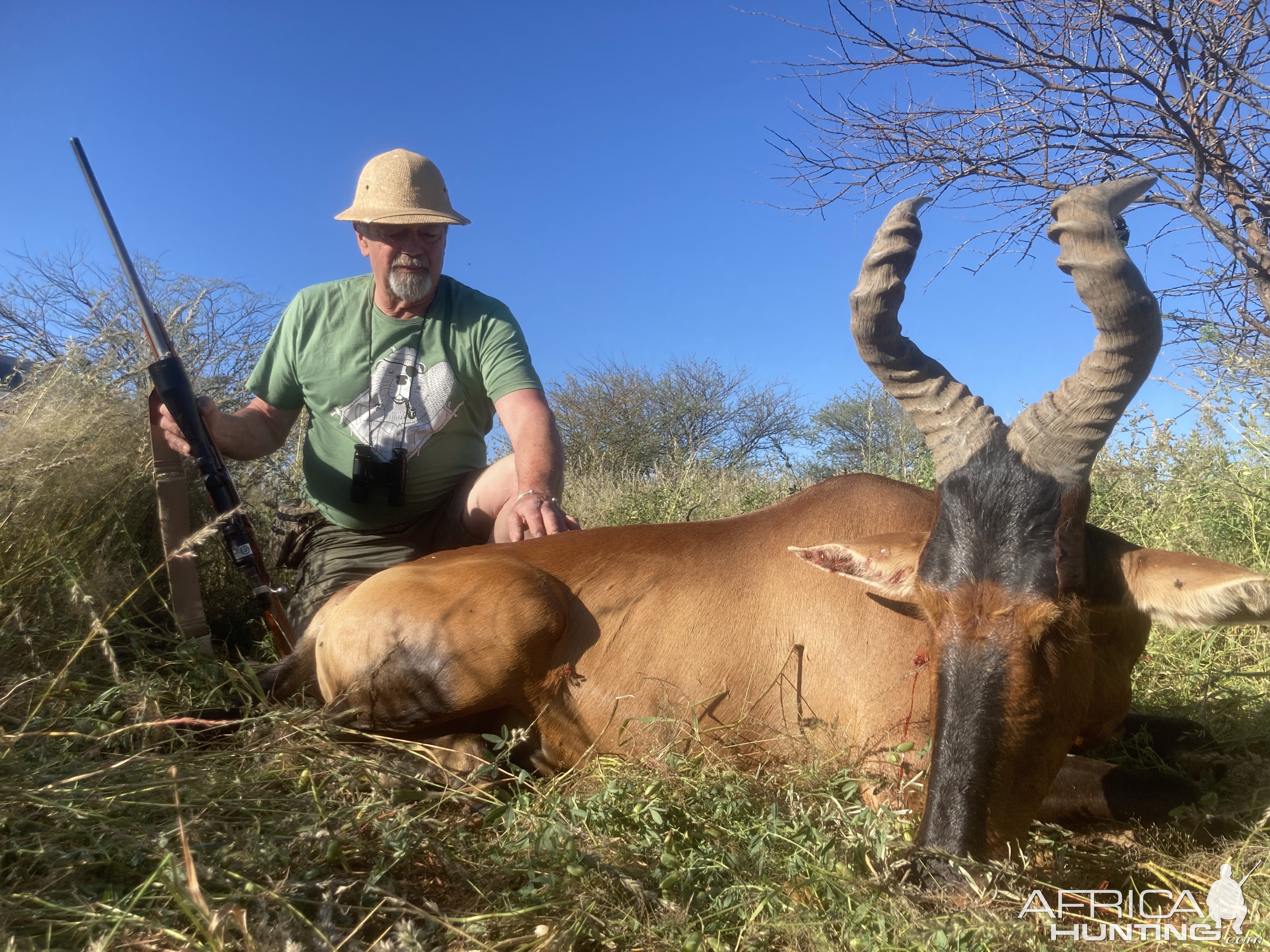Red Hartebeest Hunt Kunene Namibia