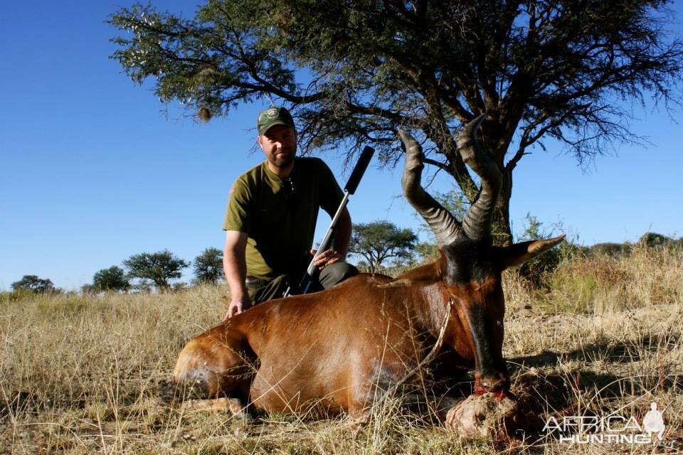 Red Hartebeest Hunt Namibia