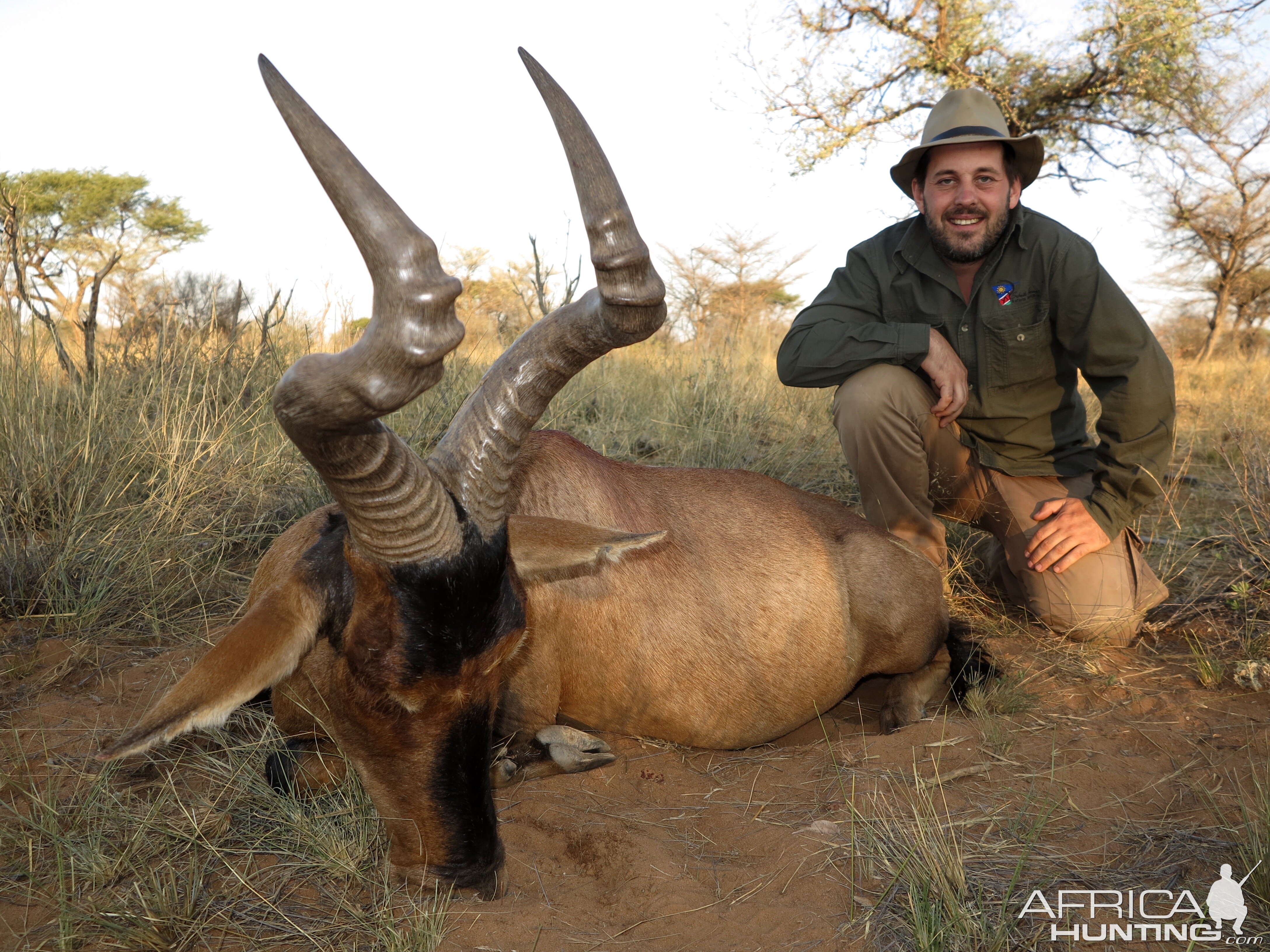 Red Hartebeest Hunt Namibia