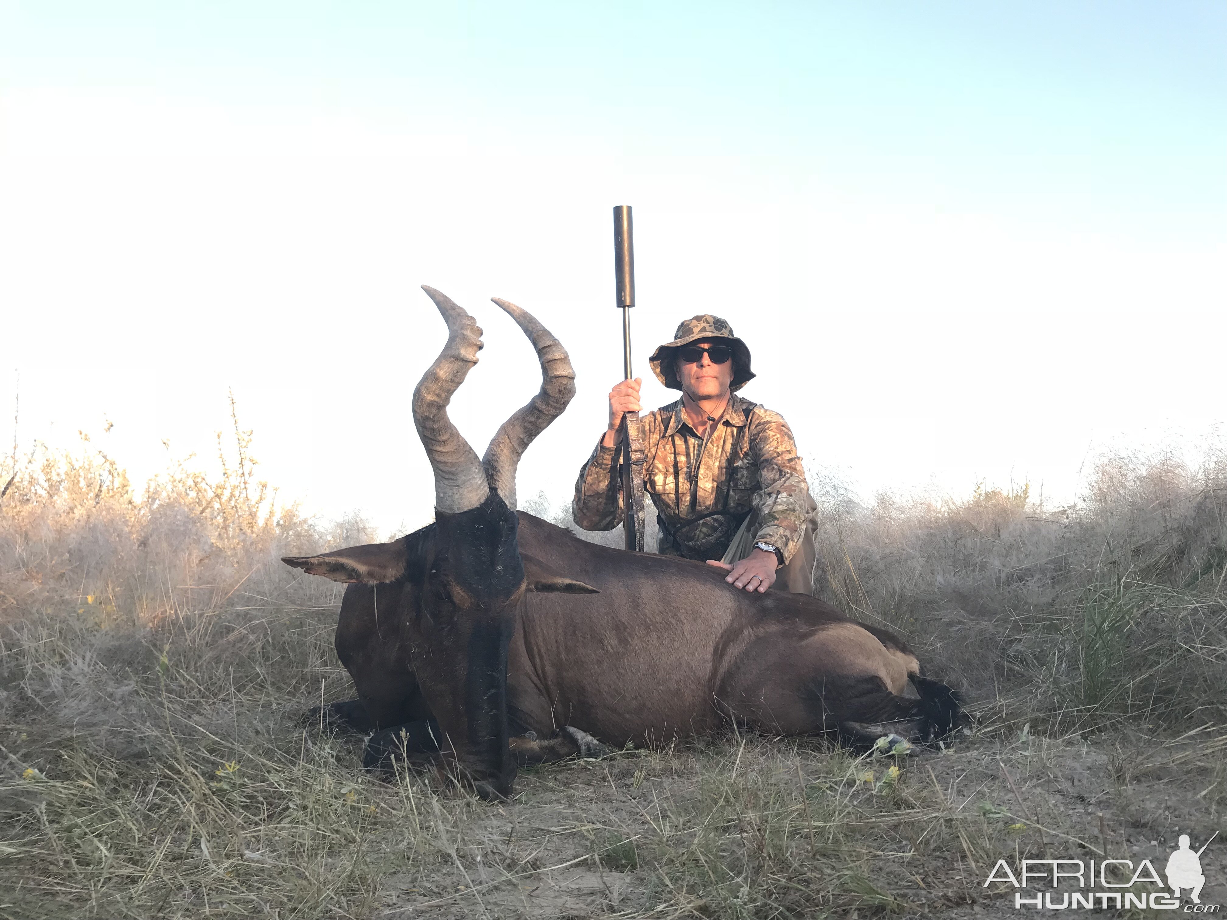 Red Hartebeest Hunt Namibia