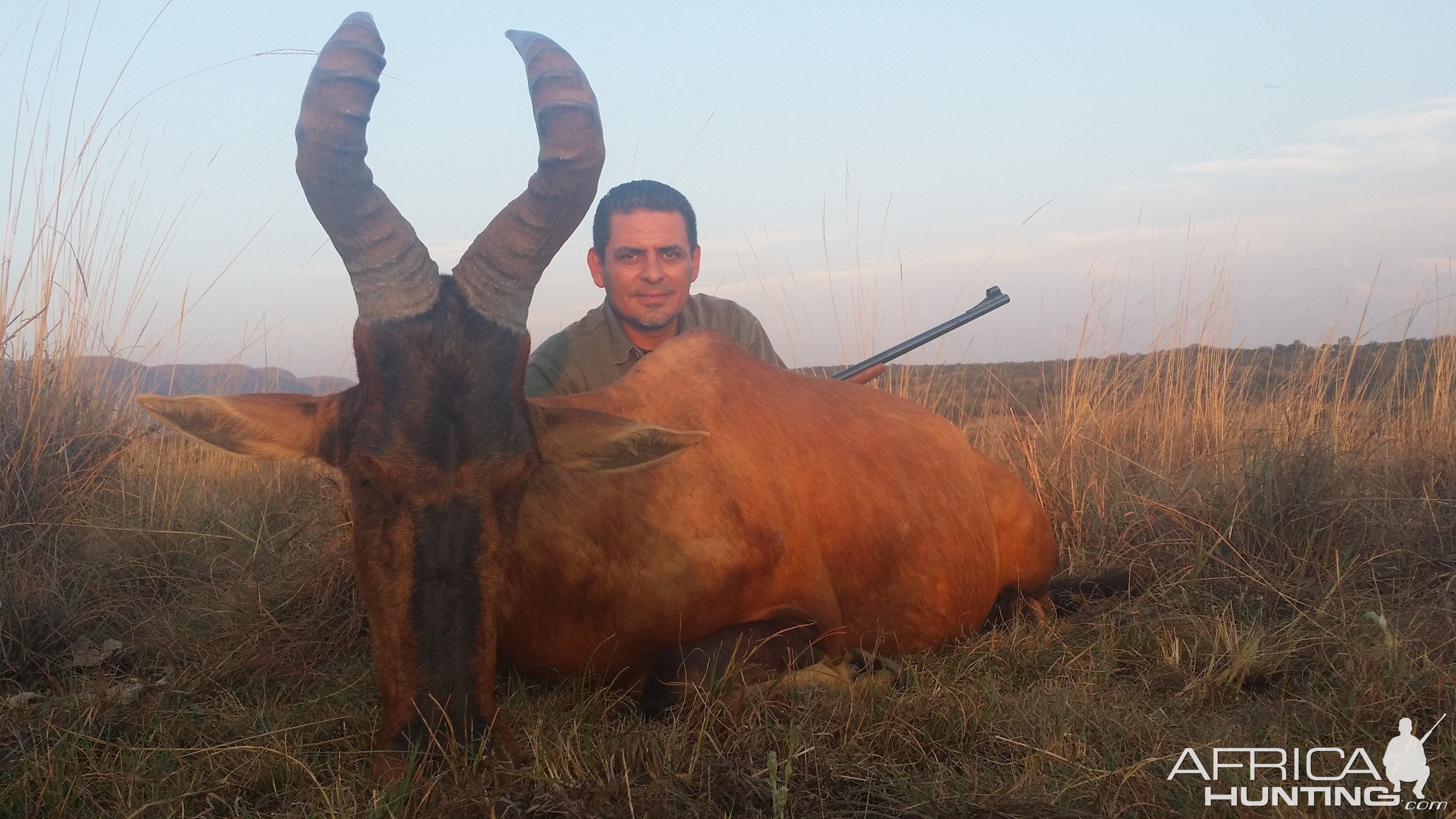 Red Hartebeest Hunt South Africa