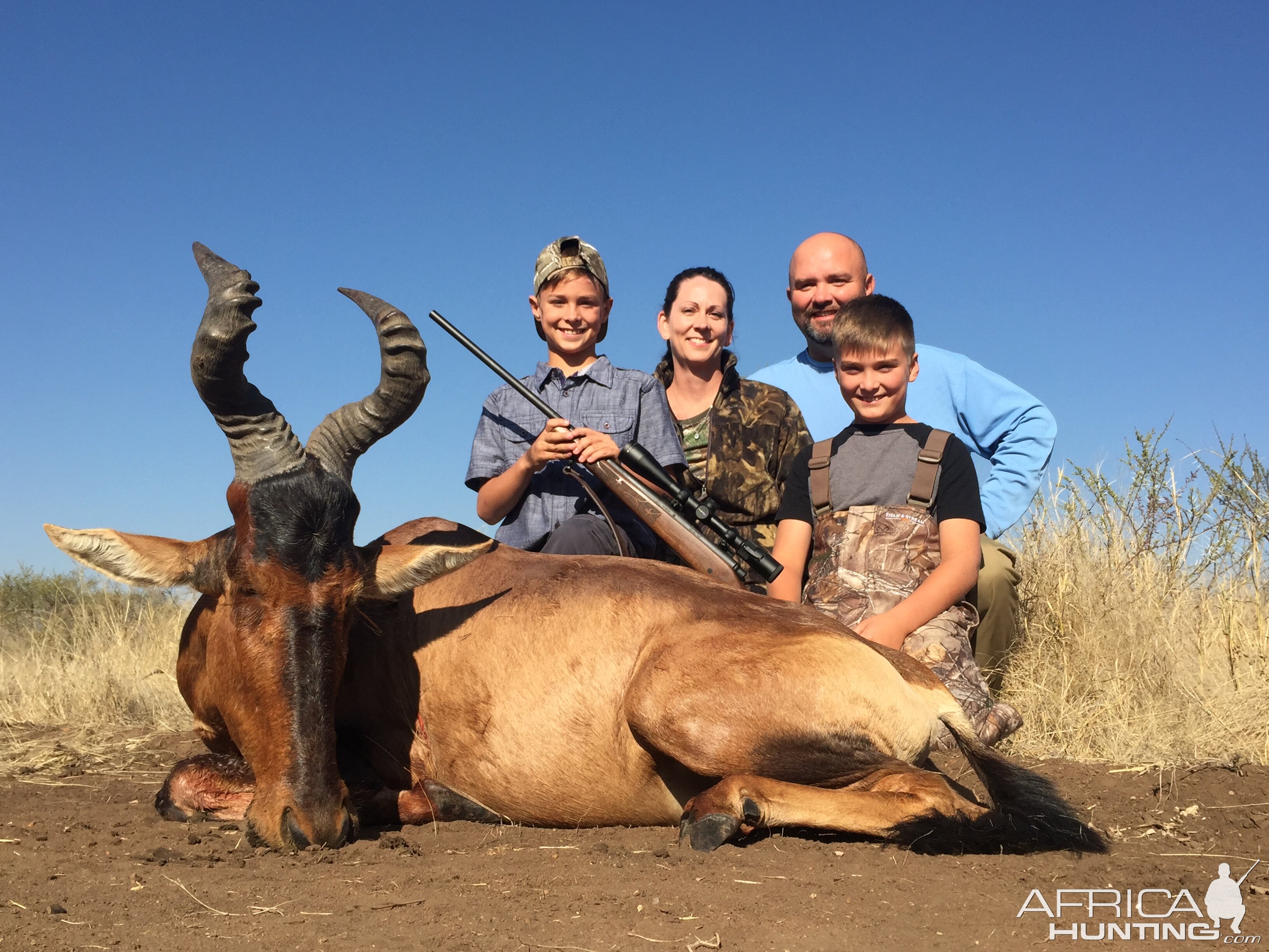 Red Hartebeest Hunt South Africa