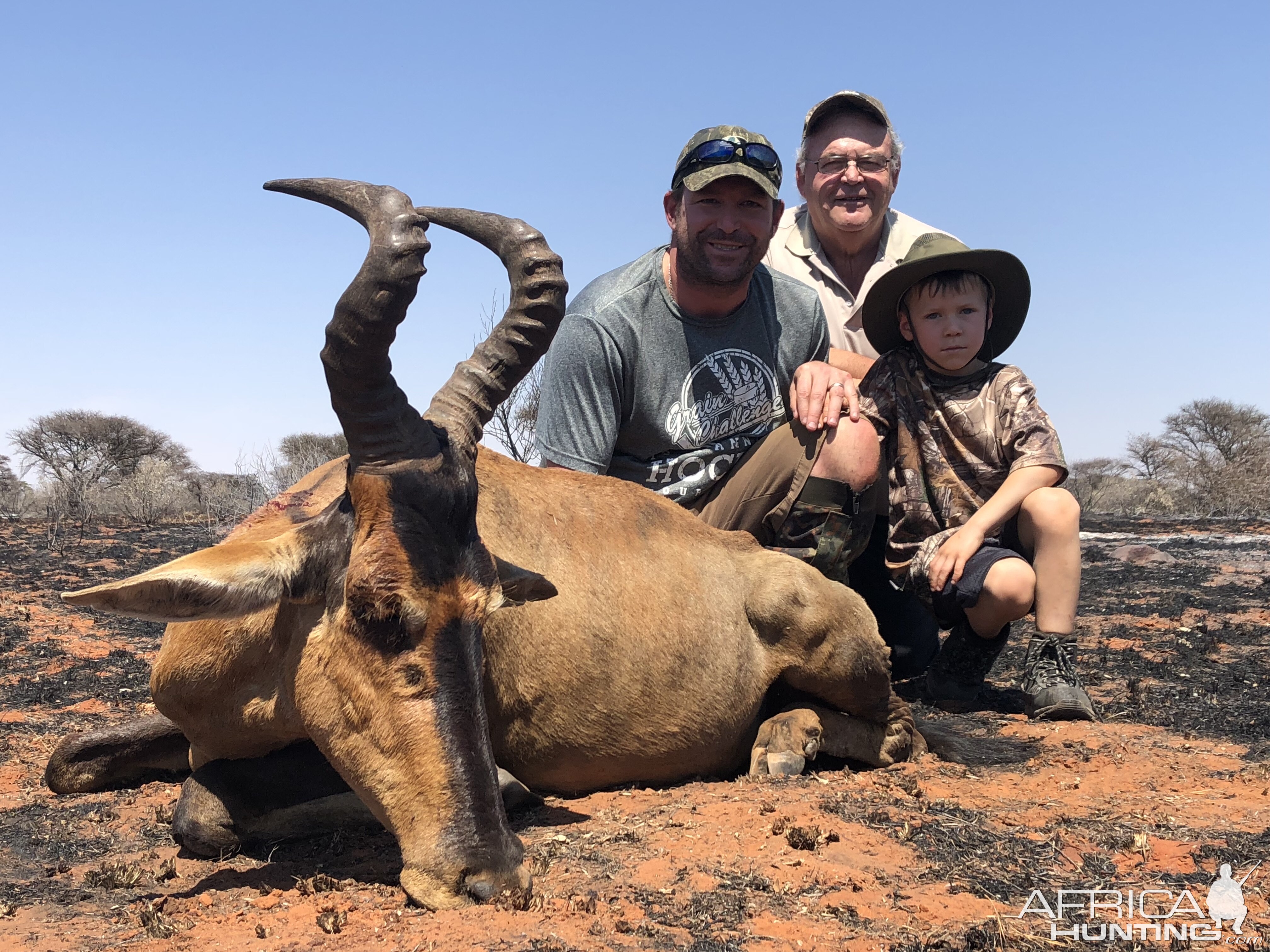 Red Hartebeest Hunt South Africa