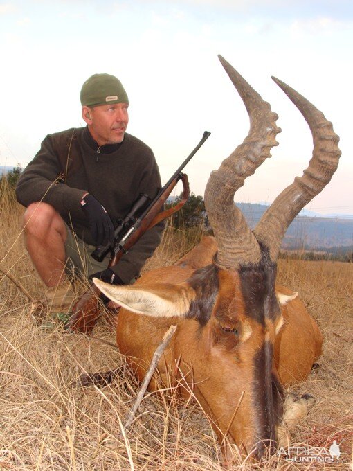 Red Hartebeest Hunt