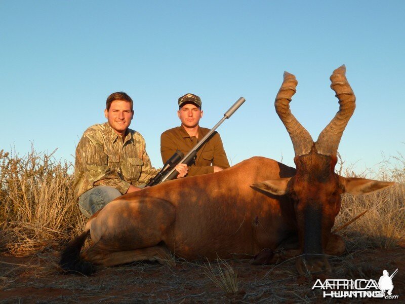 Red Hartebeest hunted with Wintershoek Johnny Vivier Safaris