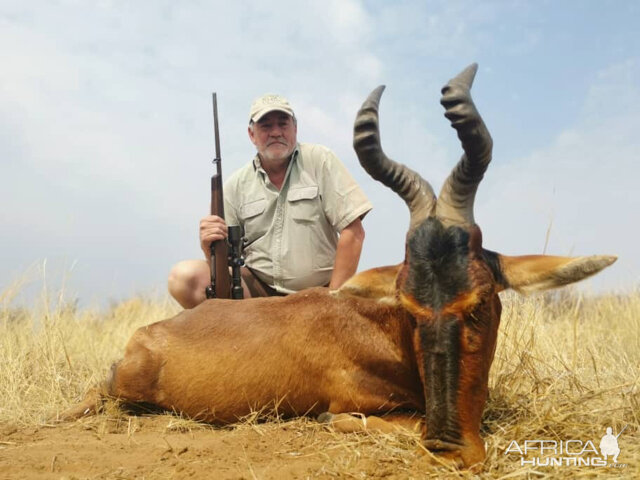 Red Hartebeest Hunting Botswana