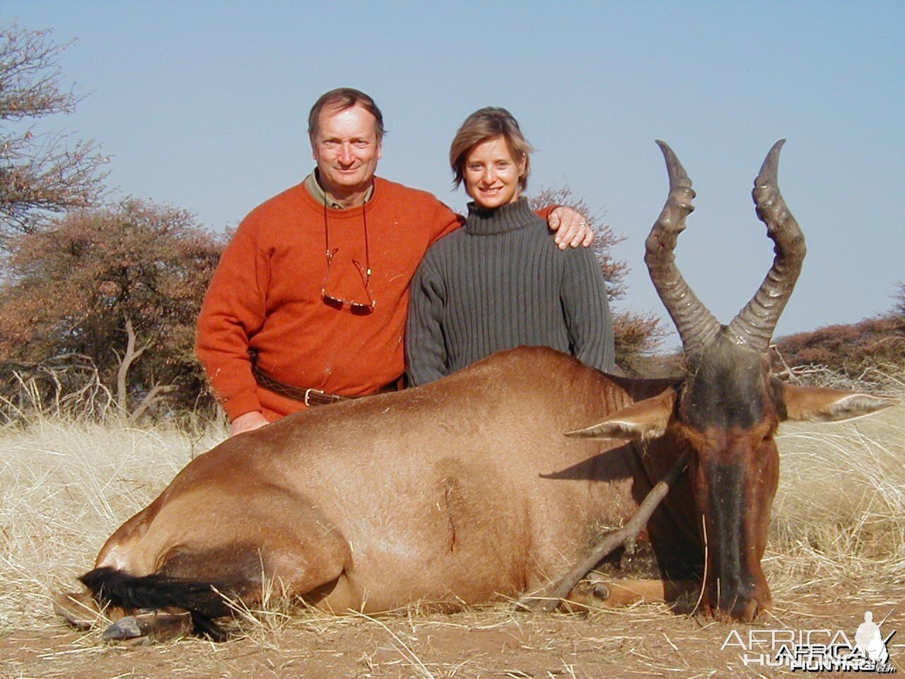 Red Hartebeest Hunting in Namibia