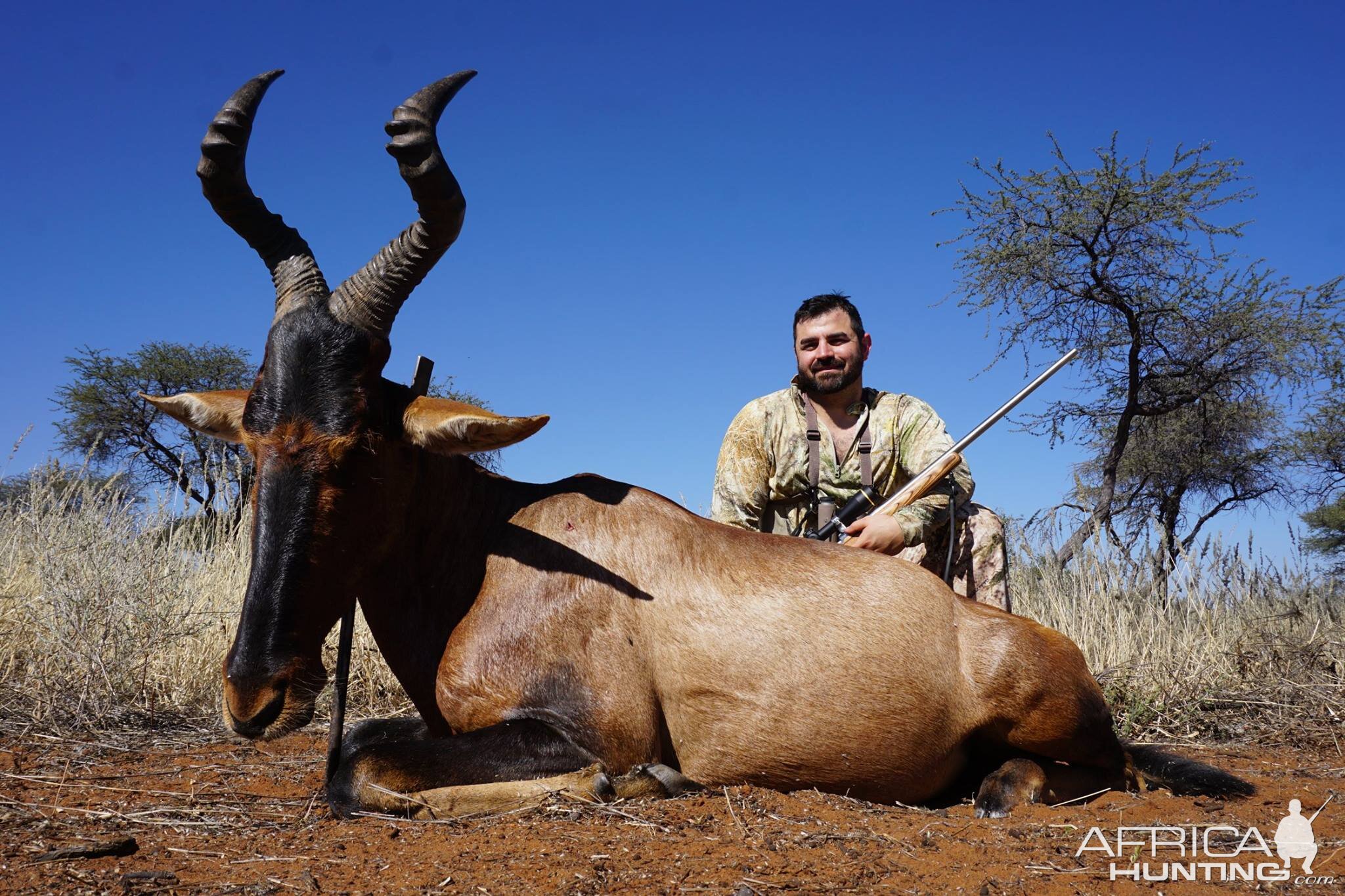 Red Hartebeest Hunting in Namibia
