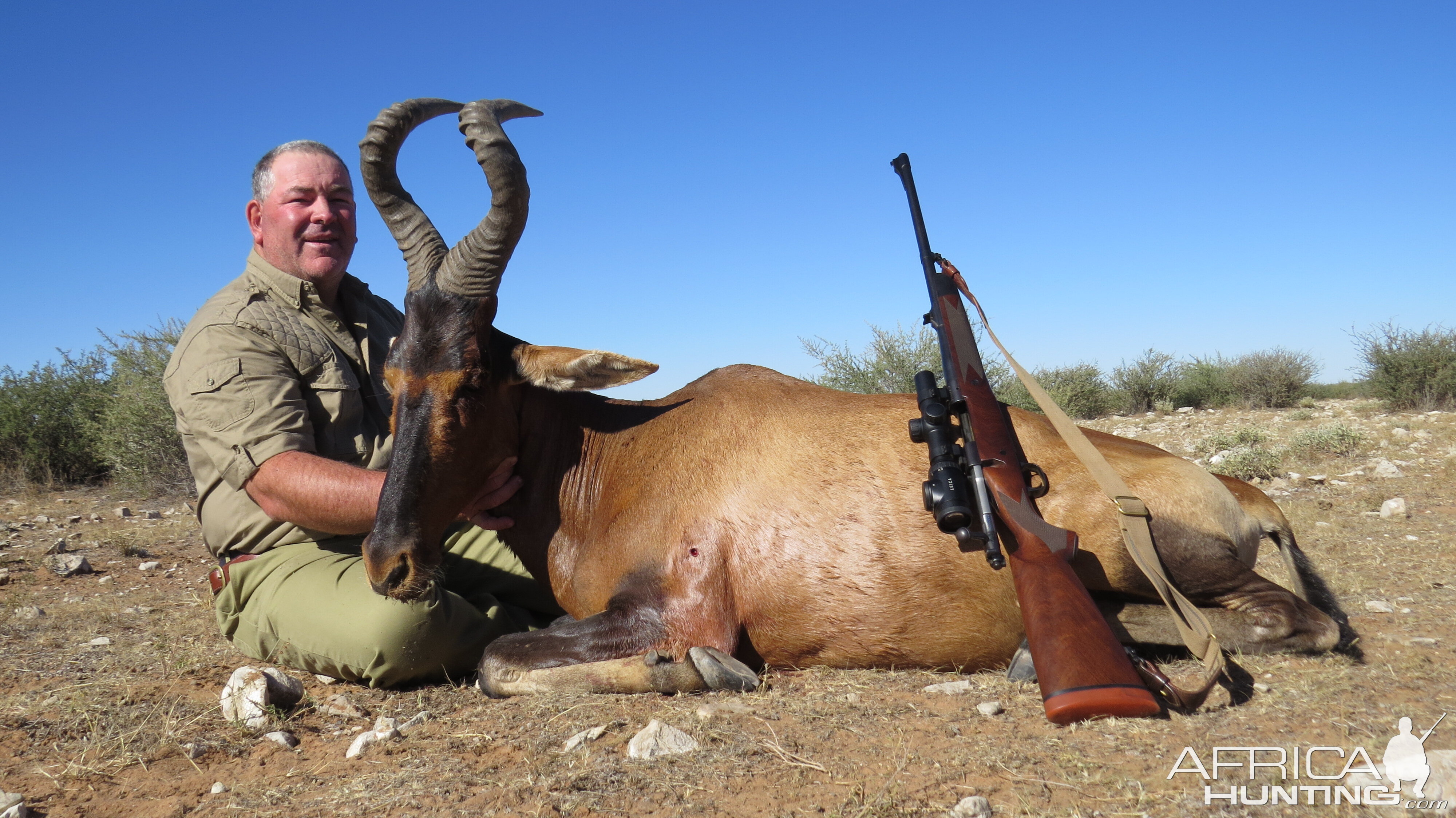 Red Hartebeest Hunting in Namibia