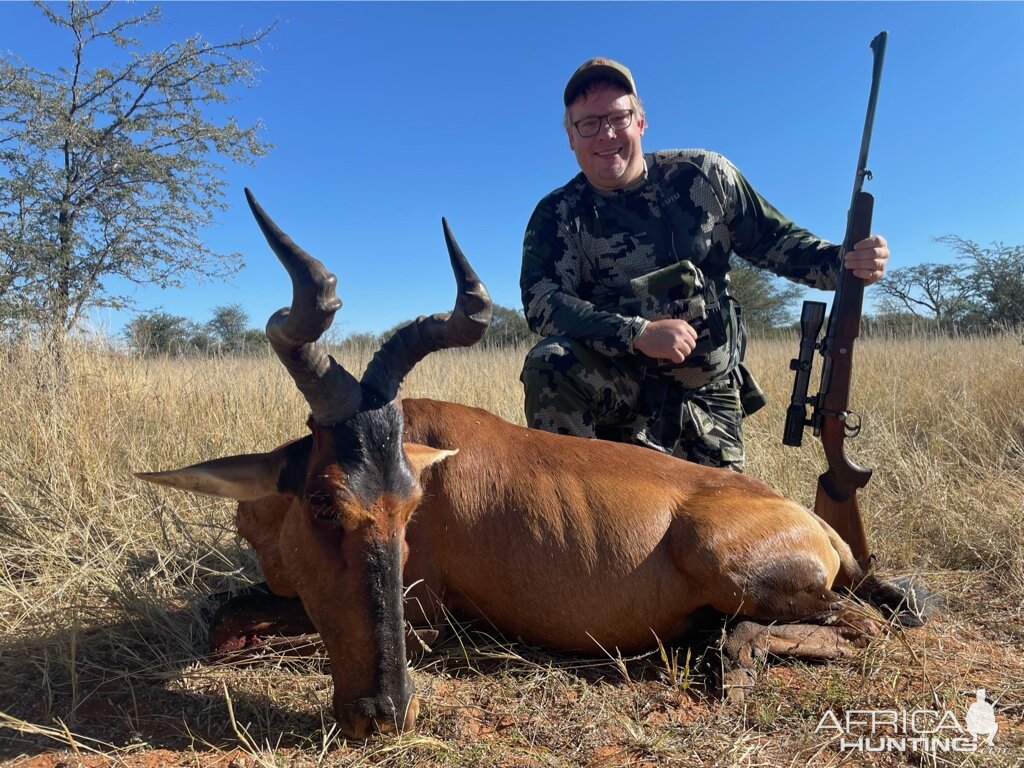 Red Hartebeest Hunting Namibia