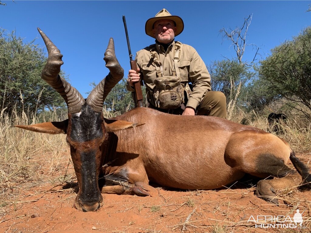 Red Hartebeest Hunting Namibia