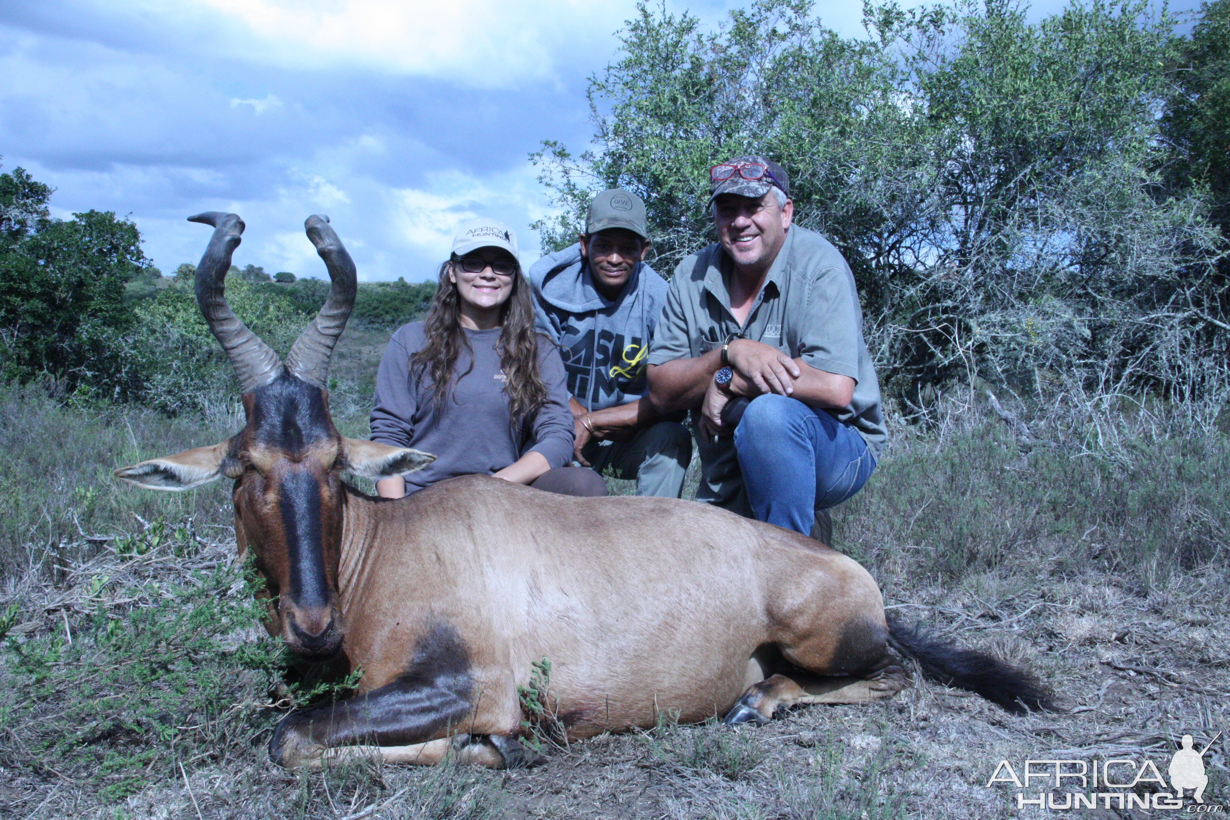 Red Hartebeest Hunting South Africa