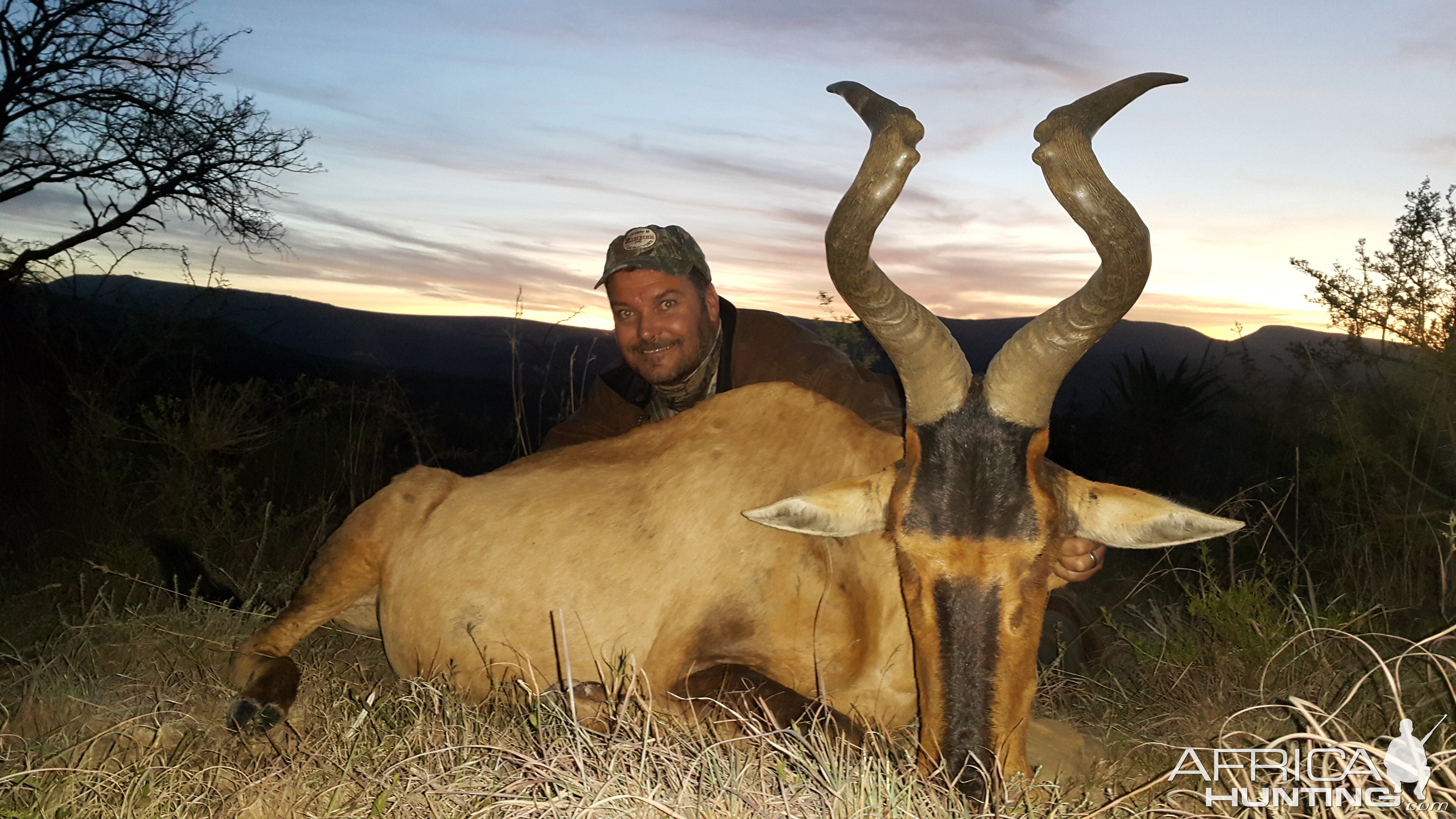 Red Hartebeest Hunting South Africa