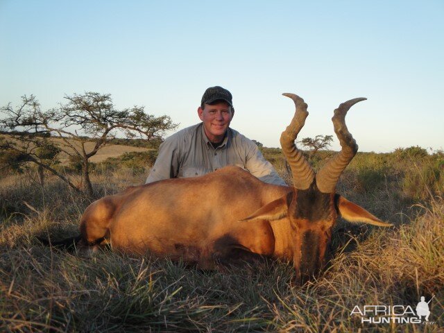 Red Hartebeest Hunting