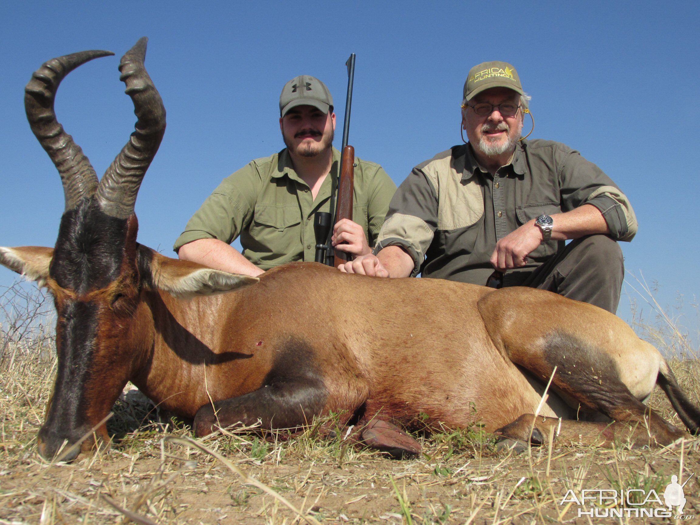 Red Hartebeest Nambia Hunt